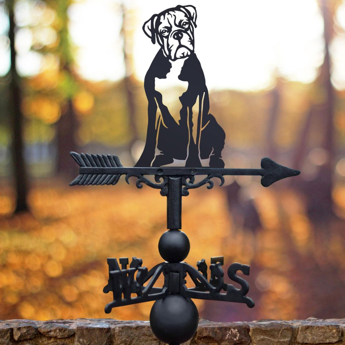 Sitting Boxer Dog Weathervane in Situ Sitting Boxer Dog Weathervane in Situ