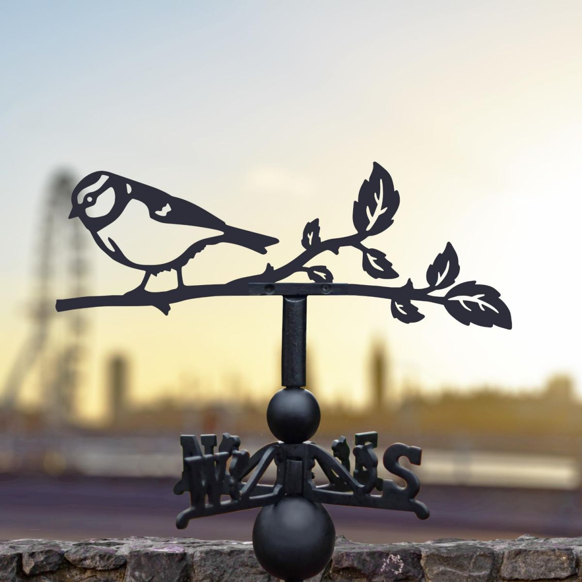 Blue Tit Weathervane at Sunrise
