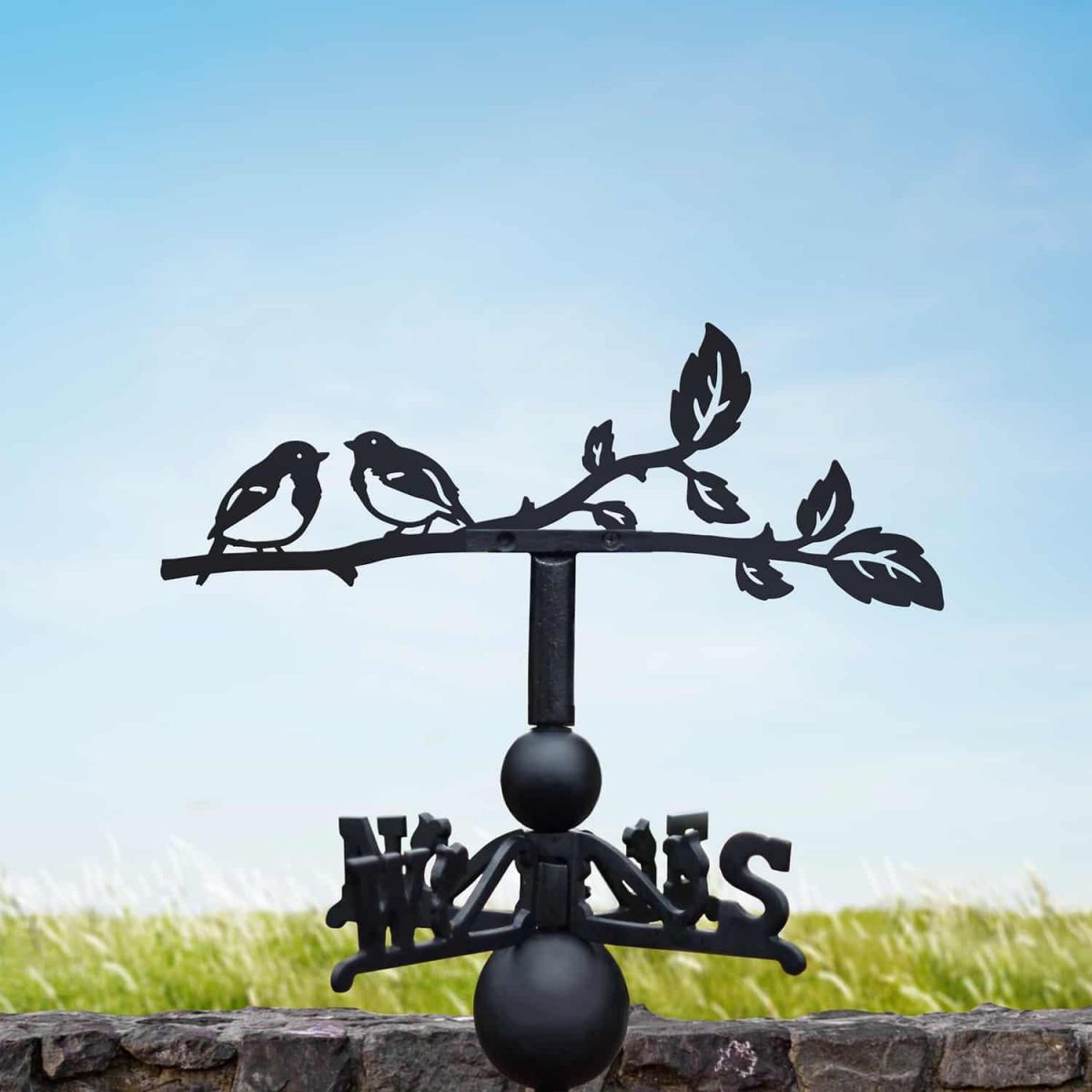 Cast Iron & Steel Weathervane with Pair of Robins Topper
