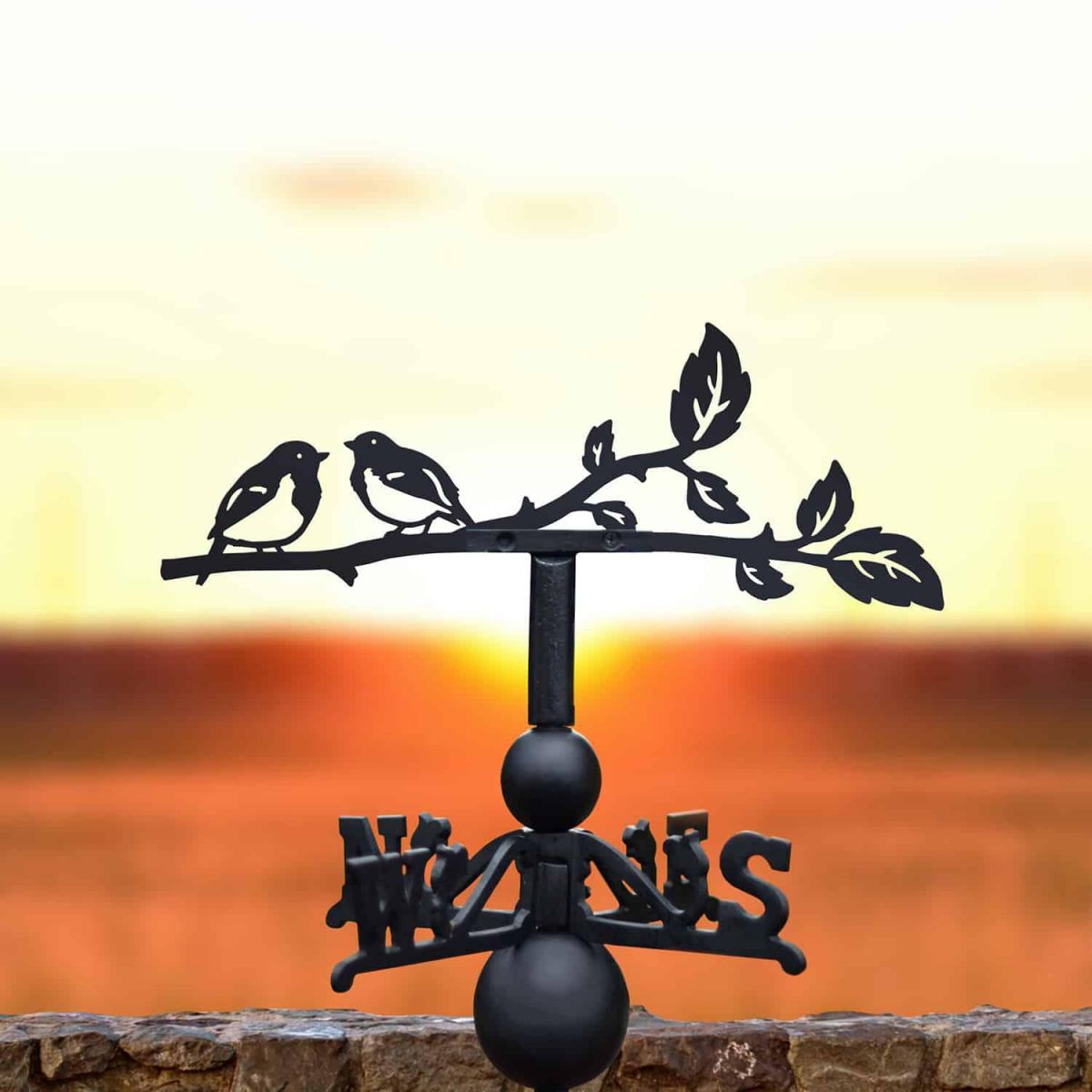 Cast Iron & Steel Pair of Robins Weathervane in Situ