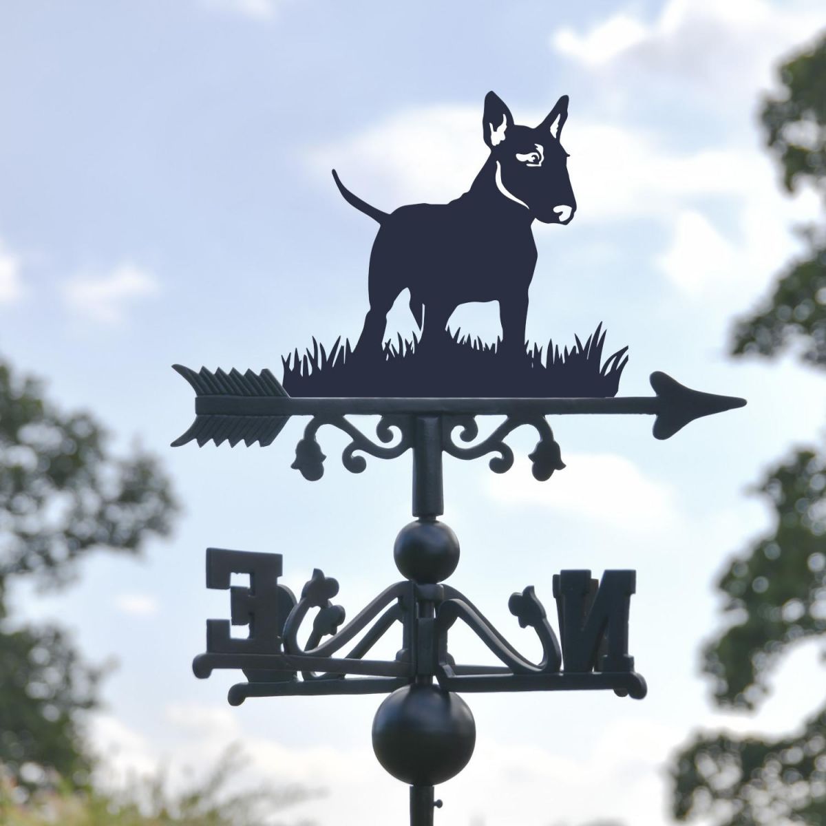 Close-Up of English Bull Terrier Topper
