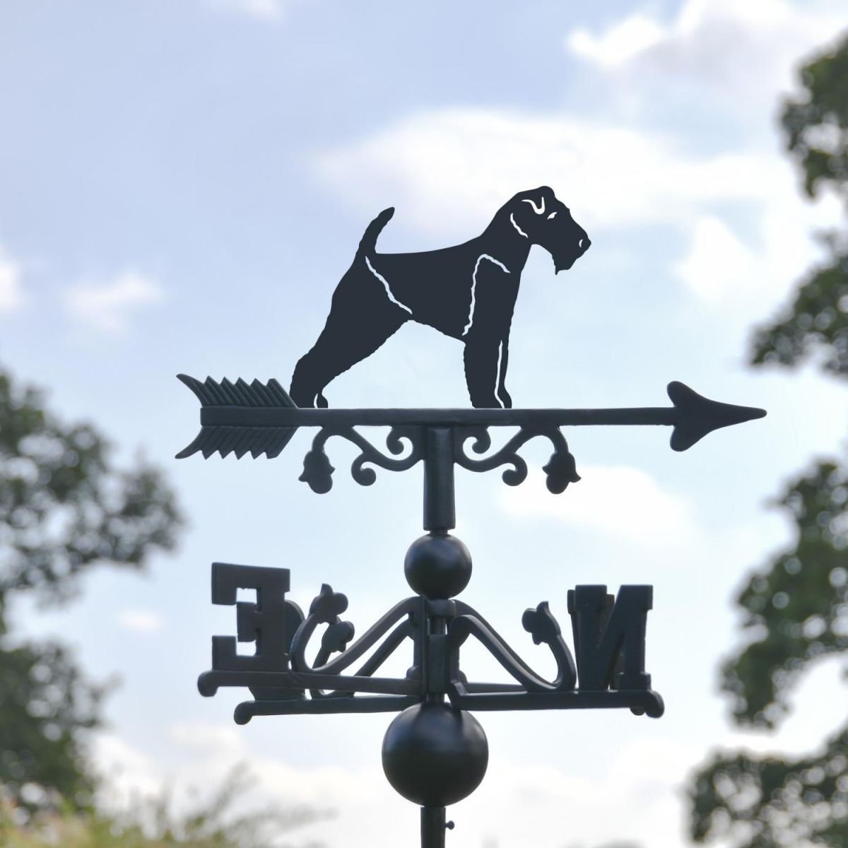 Close-Up of Welsh Terrier Topper