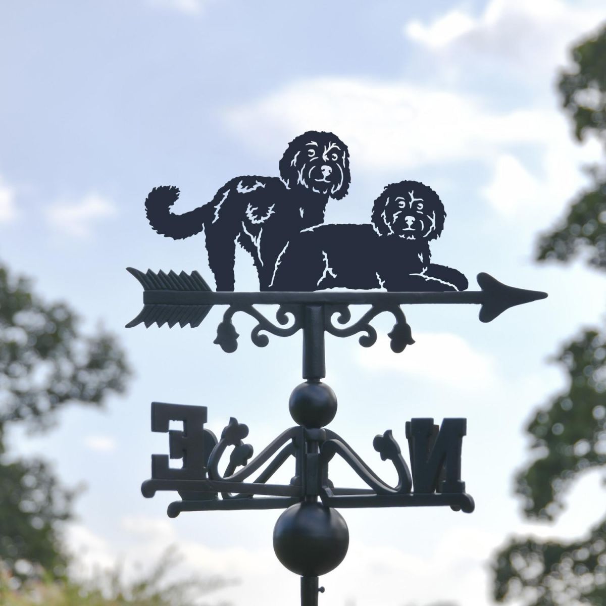 Close-Up of Two Cockapoos Topper Close-Up of Two Cockapoos Topper