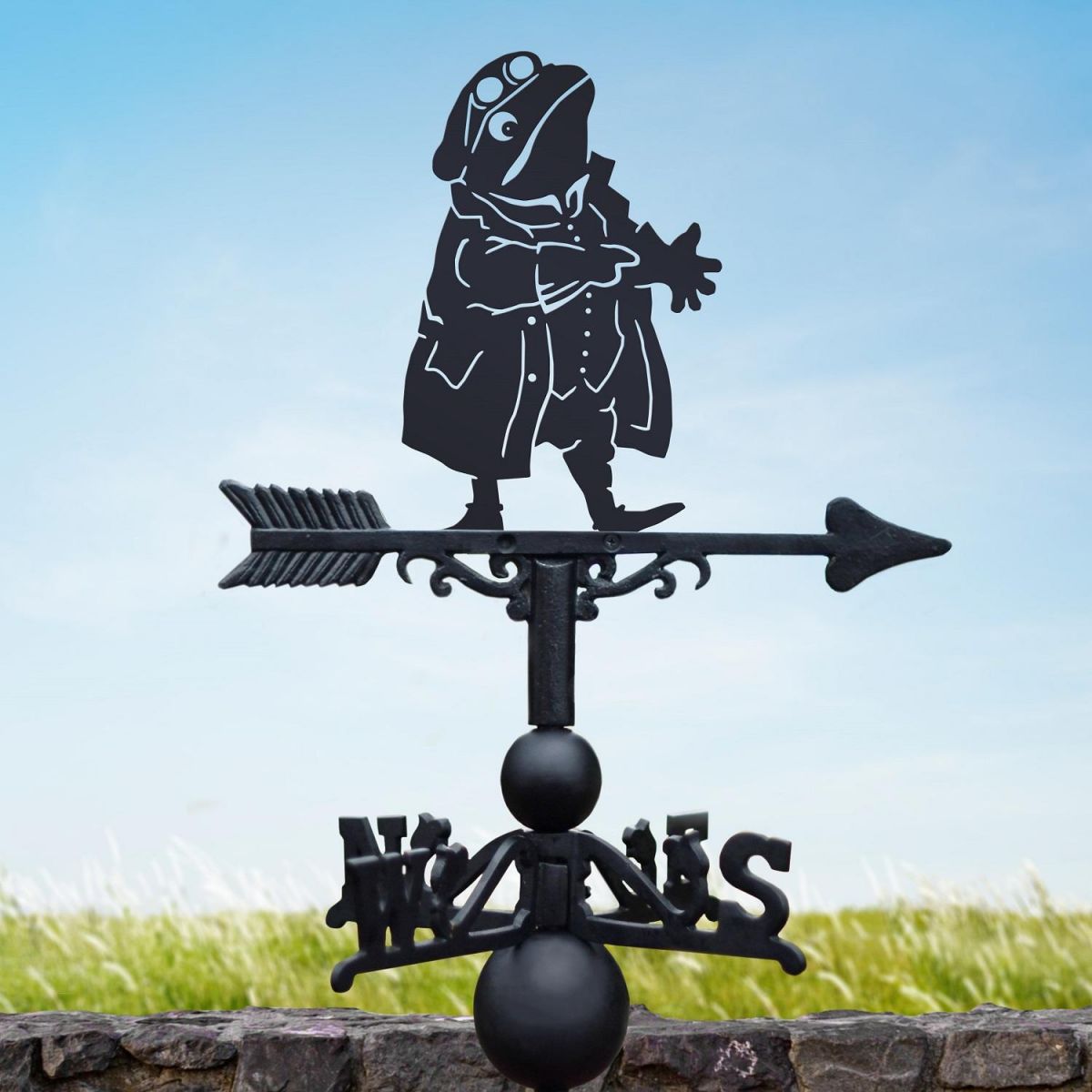 Black Weathervane with Mr Toad Design 