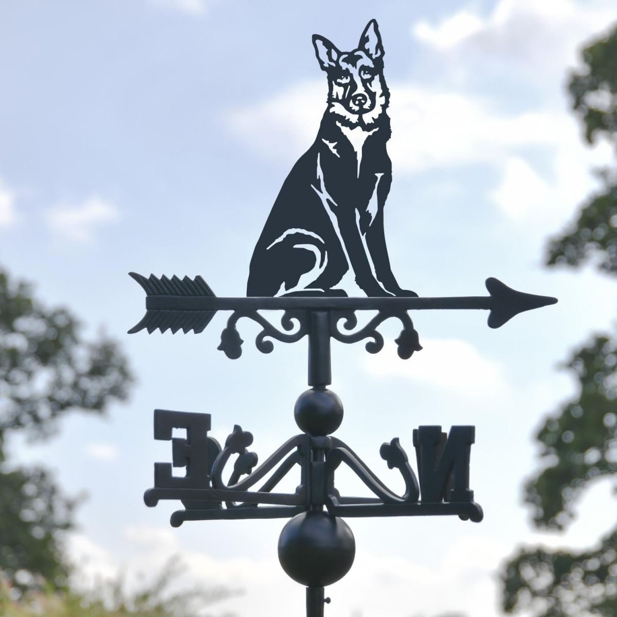 Close-Up of German Shepherd Topper