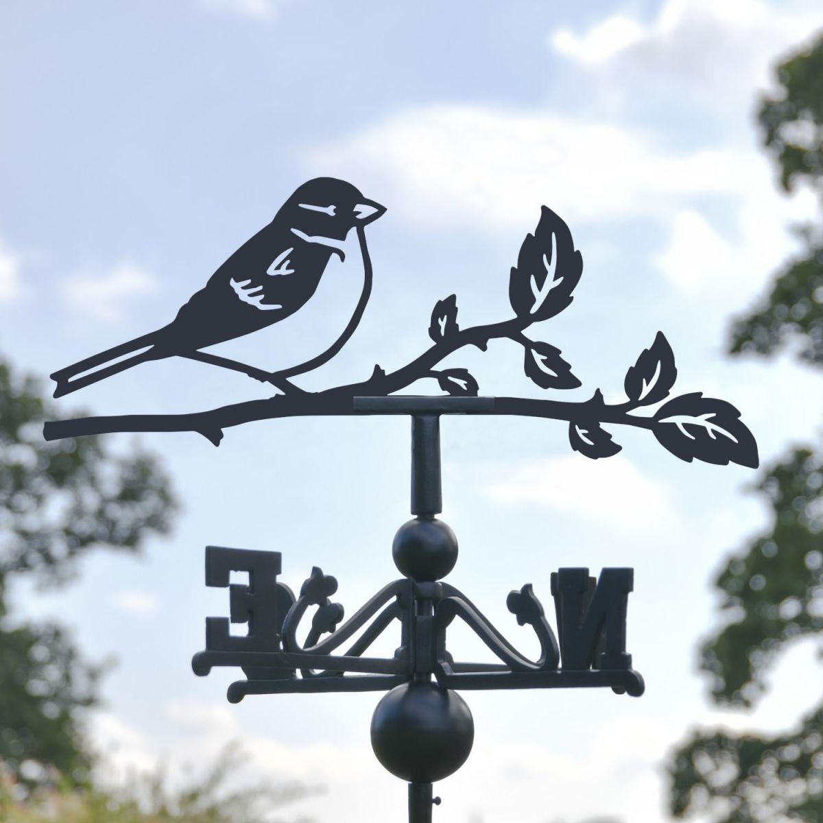 Close-Up of House Sparrow Topper