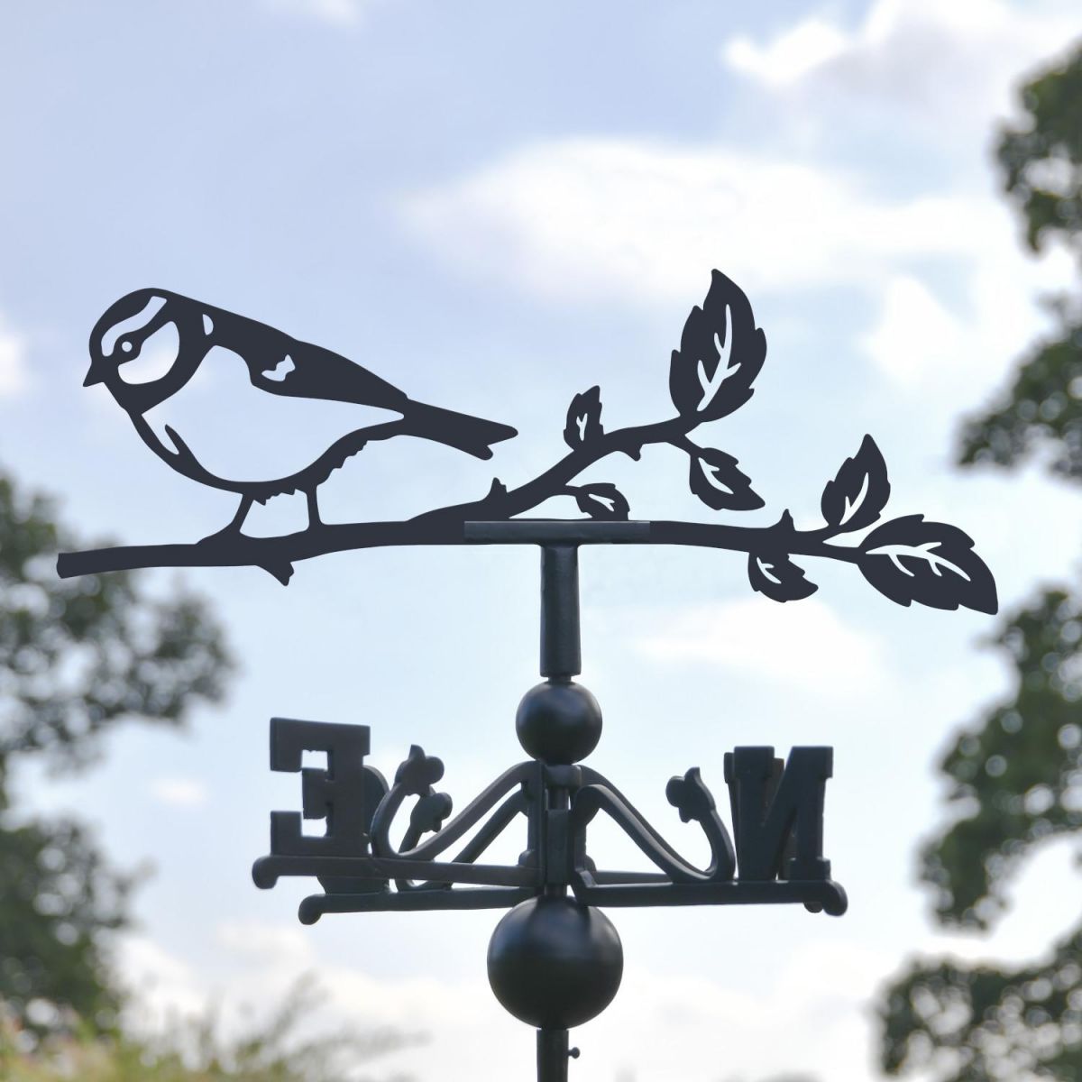 Close-Up of Blue Tit Topper Close-Up of Blue Tit Topper
