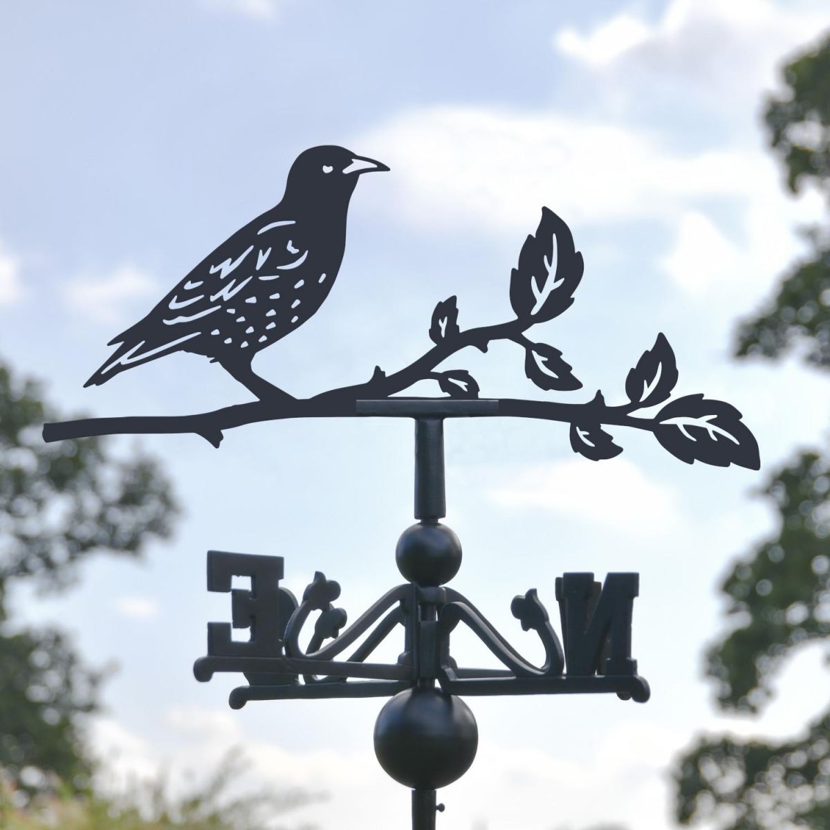 Close-Up of Starling Topper