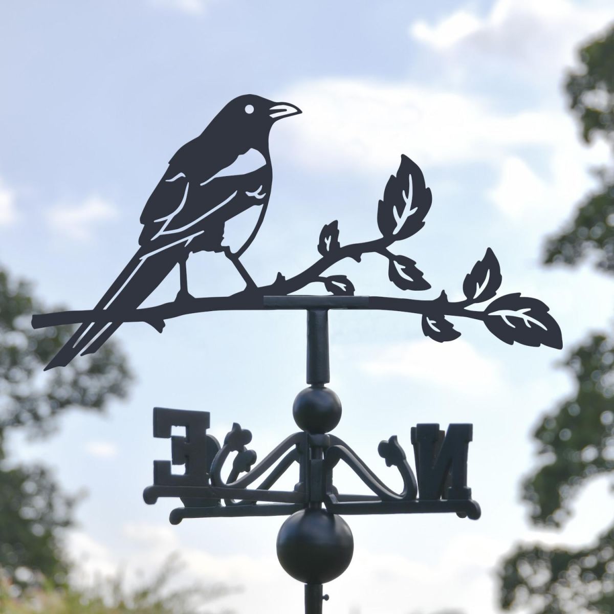 Close-Up of Magpie Topper Close-Up of Magpie Topper