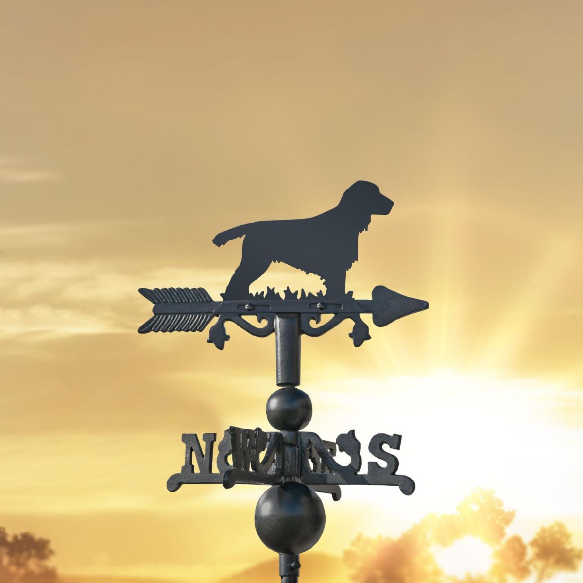 Cocker Spaniel on Miniature Weathervane at Sunset Cocker Spaniel on Miniature Weathervane at Sunset