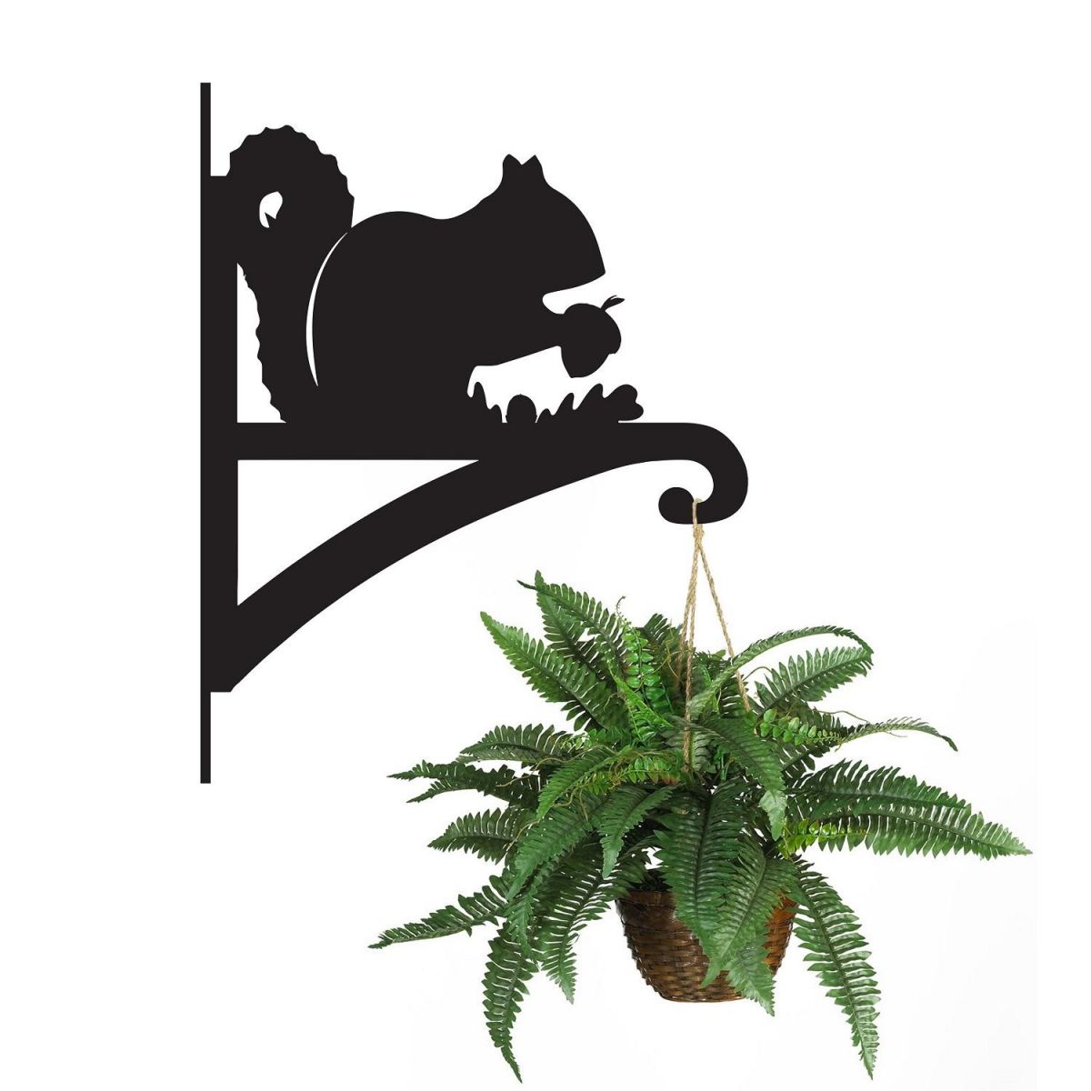 Squirrel Hanging Basket Bracket Holding a Plant Squirrel Hanging Basket Bracket Holding a Plant