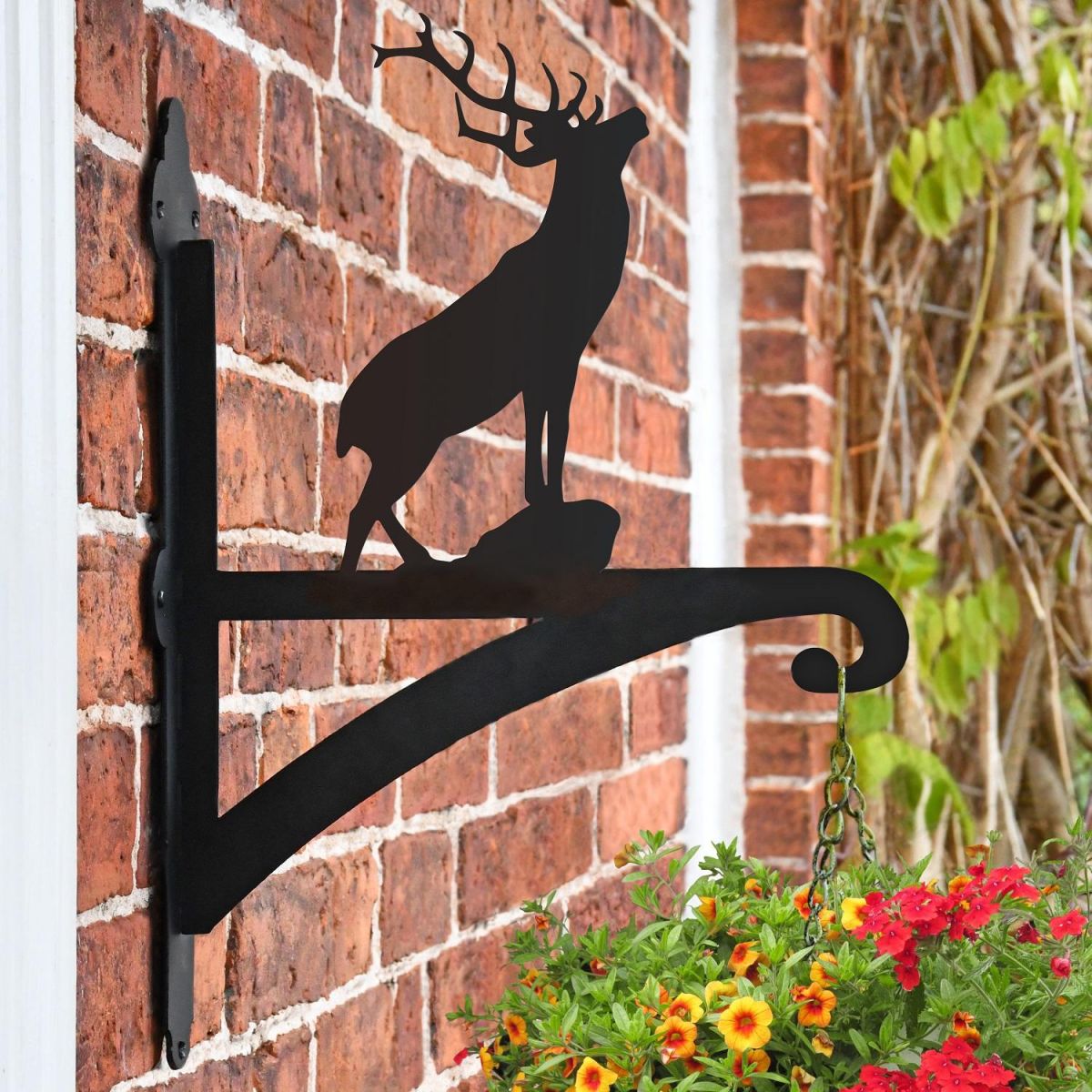 Stag Hanging Basket Bracket in Situ on a Brick Wall
