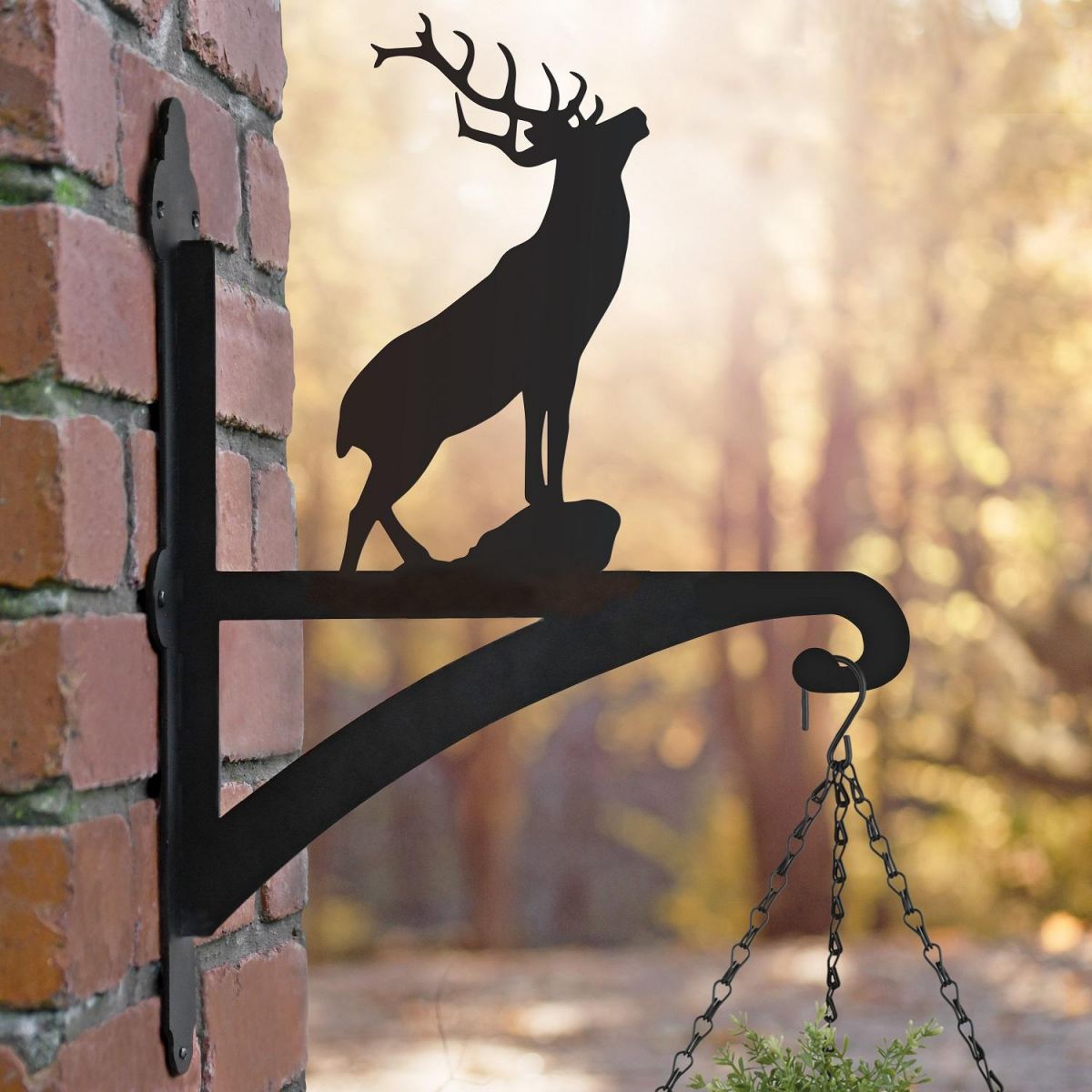 Stag Hanging Basket Bracket Outside