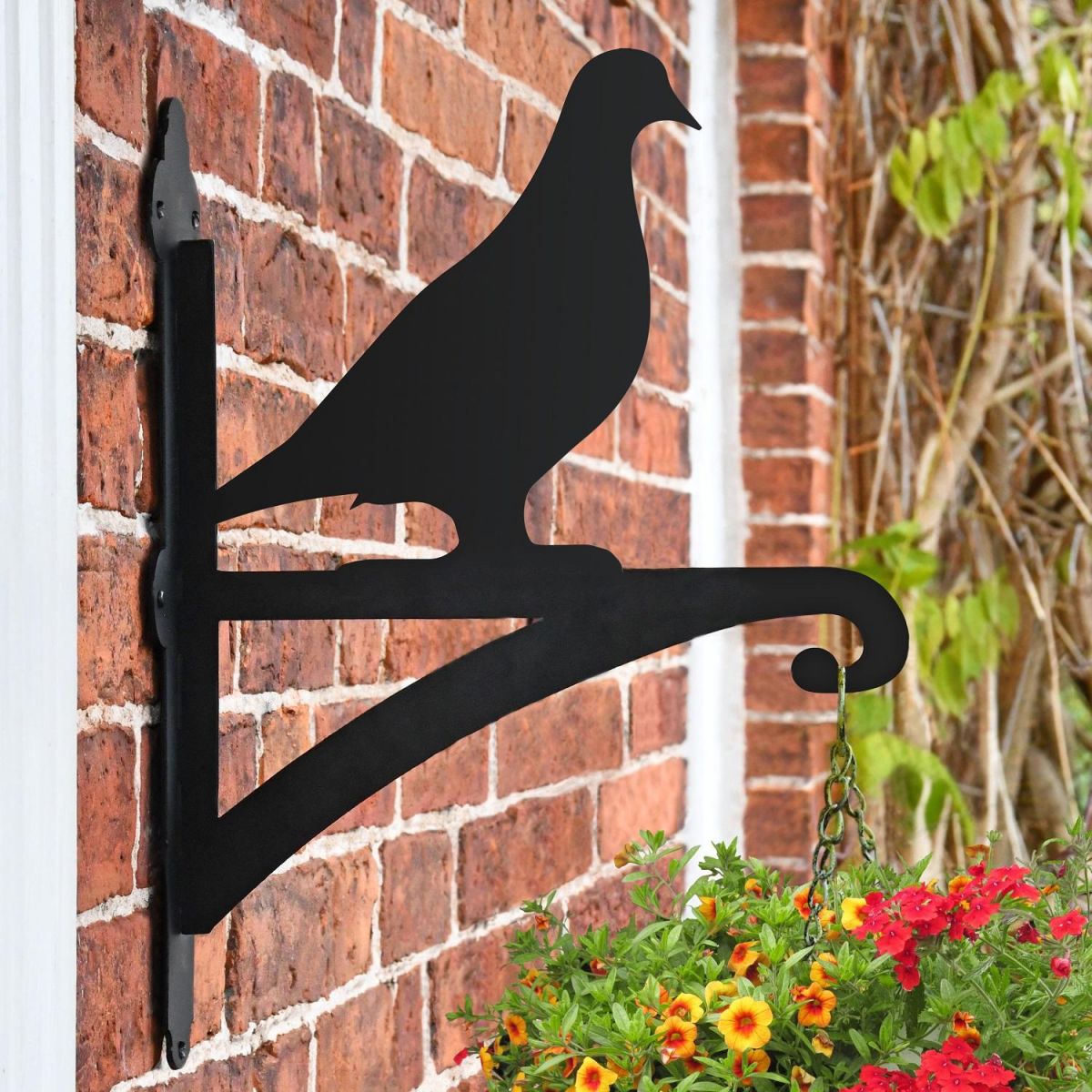 Pigeon Hanging Basket Bracket in Situ on a Brick Wall