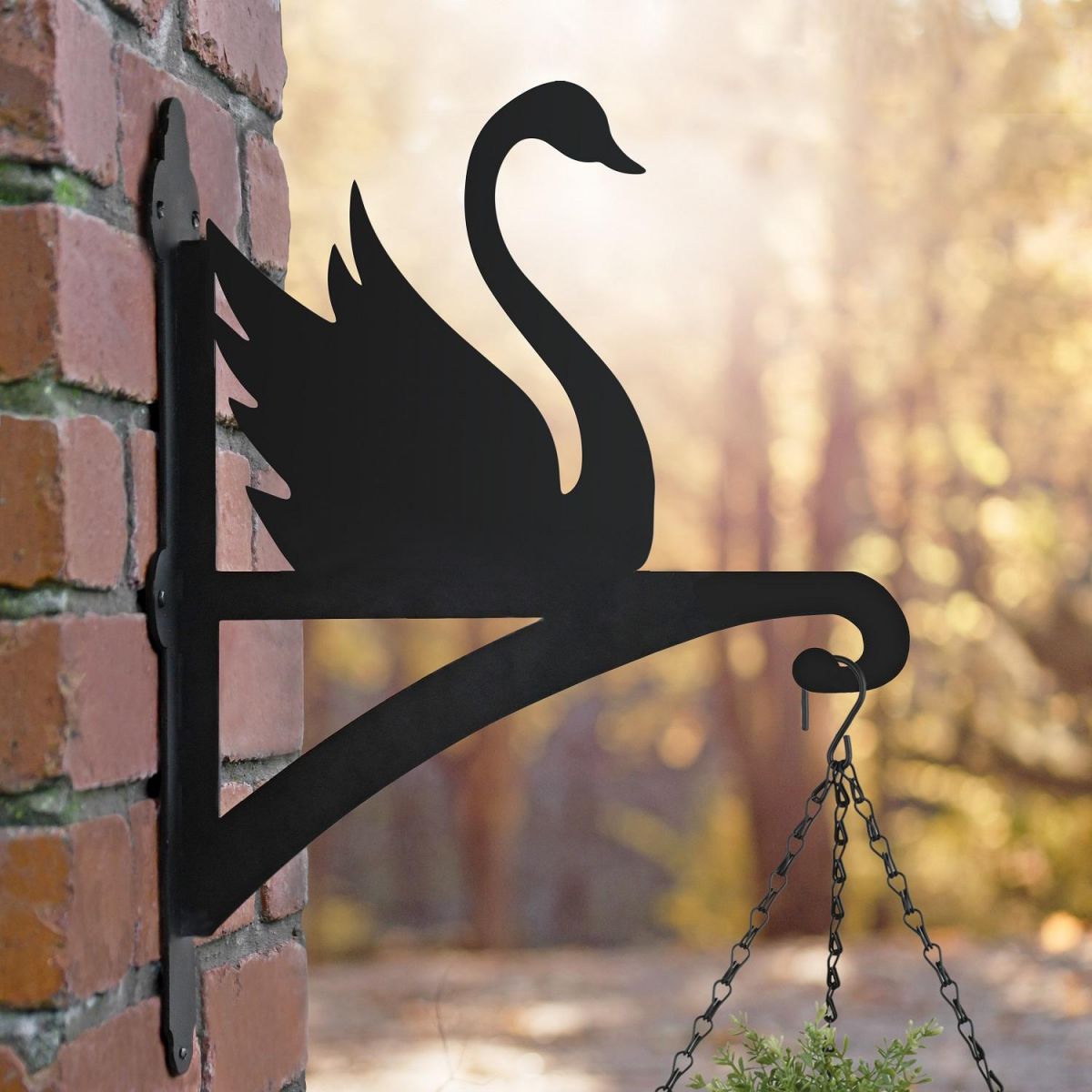 Swan Hanging Basket Bracket in Outdoor Space