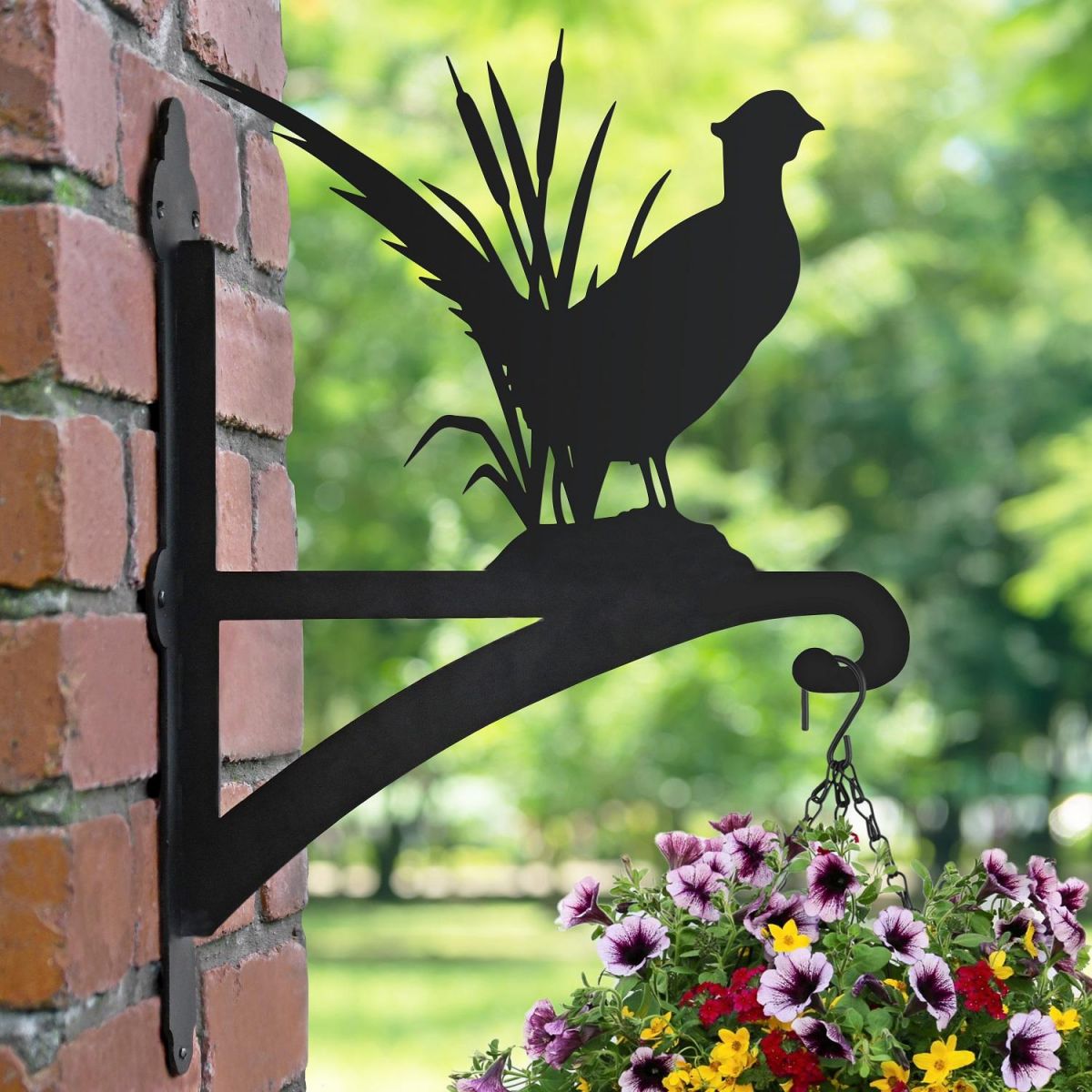 Pheasant Hanging Basket Bracket Finished in Black
