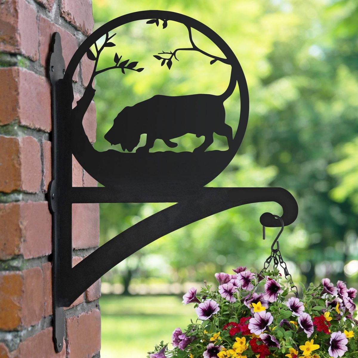 Basset Hound Dog Hanging Basket Bracket in Situ on a Brick Wall