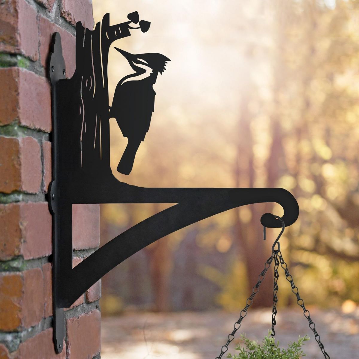 Woodpecker Hanging Basket Bracket Finished in Black