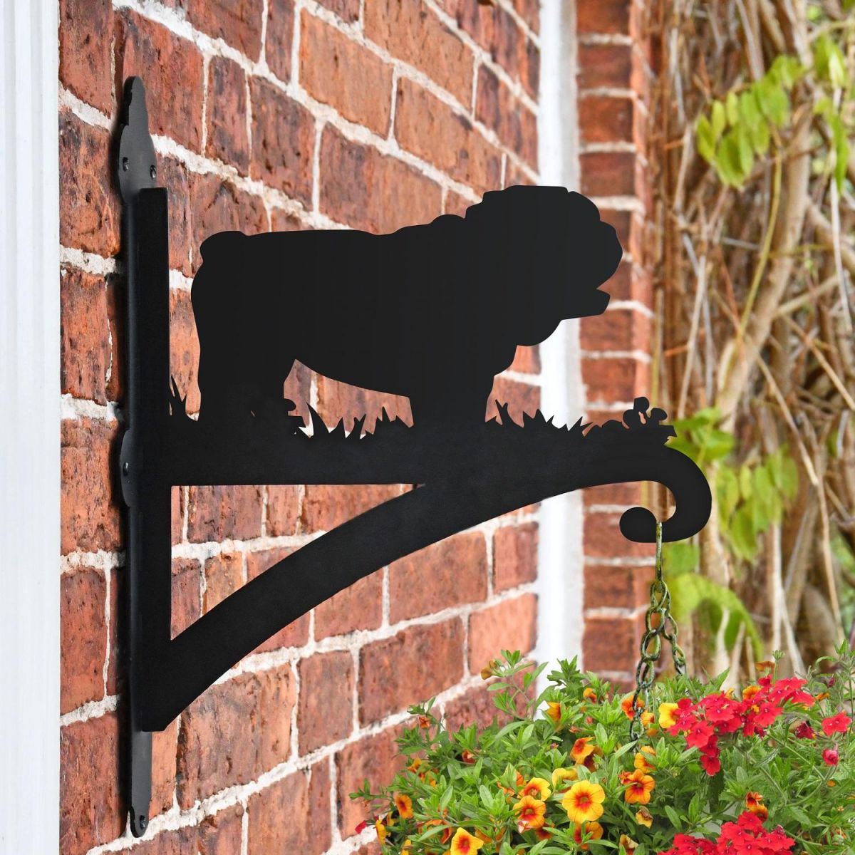 Bulldog Hanging Basket Bracket in Situ on a Brick Wall