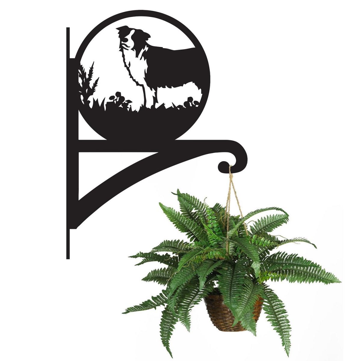 Border Collie Hanging Basket Bracket Holding a Plant