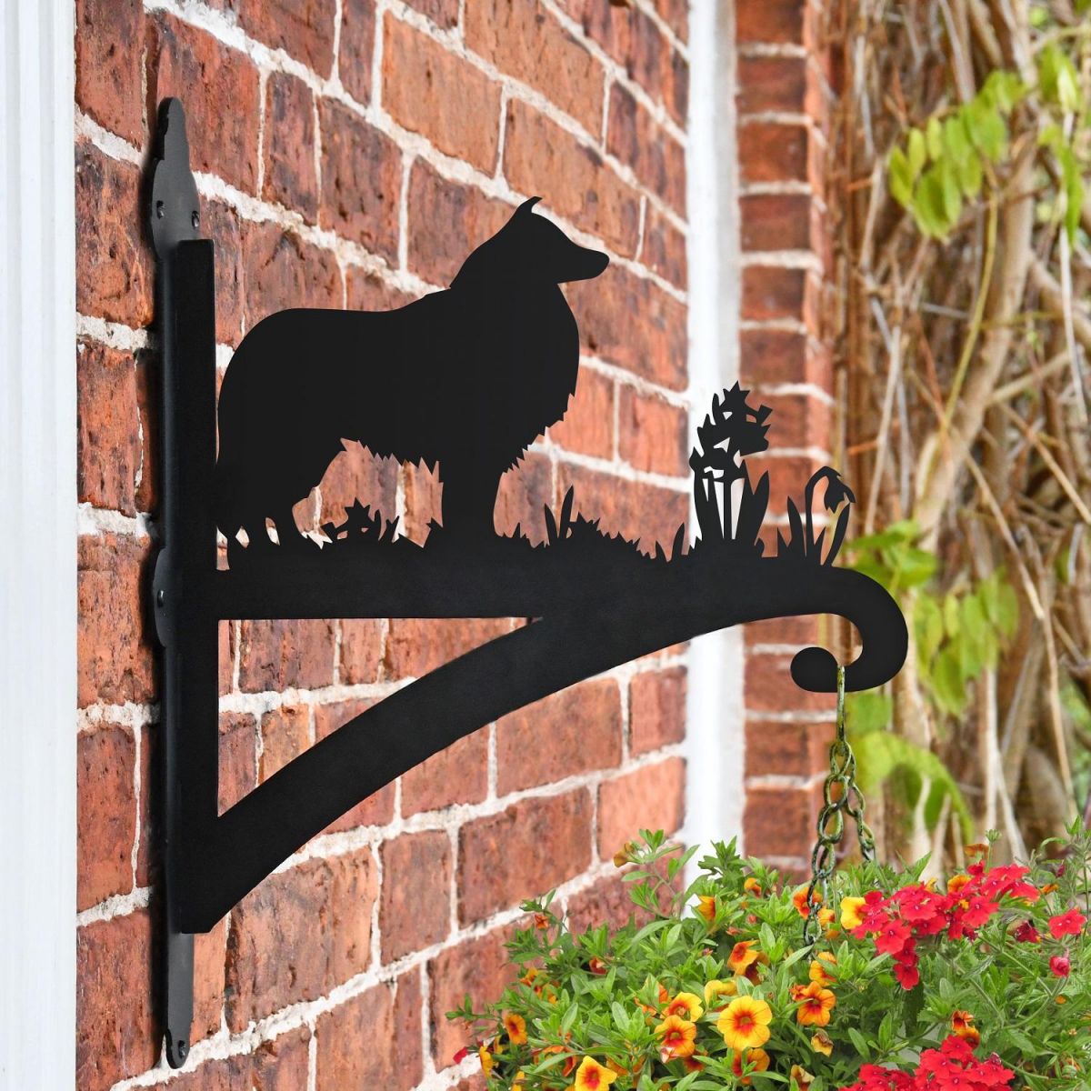 Collie Dog Hanging Basket Bracket in Situ on a Brick Wall Collie Dog Hanging Basket Bracket in Situ on a Brick Wall