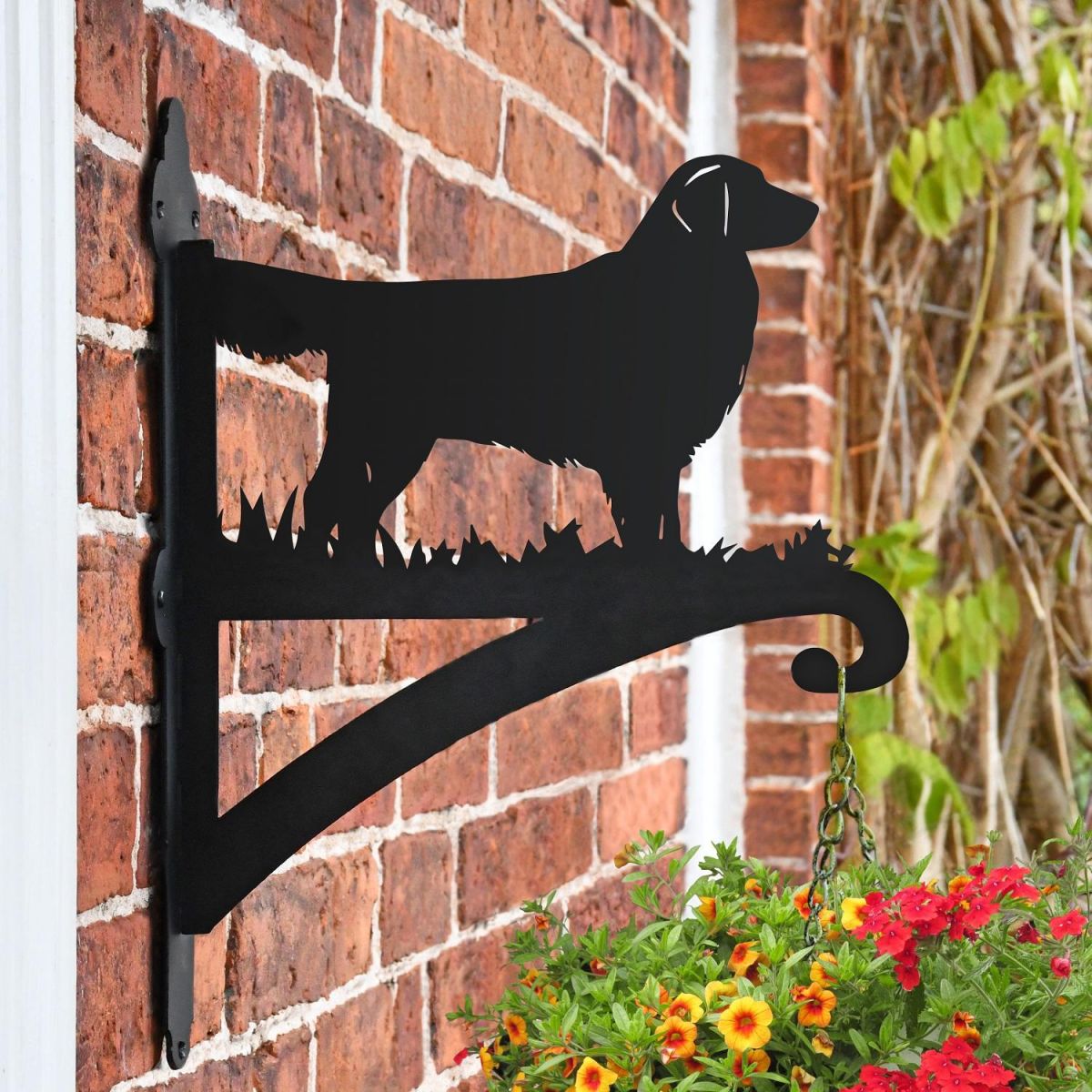 Golden Retriever Hanging Basket Bracket in Situ on a Brick Wall