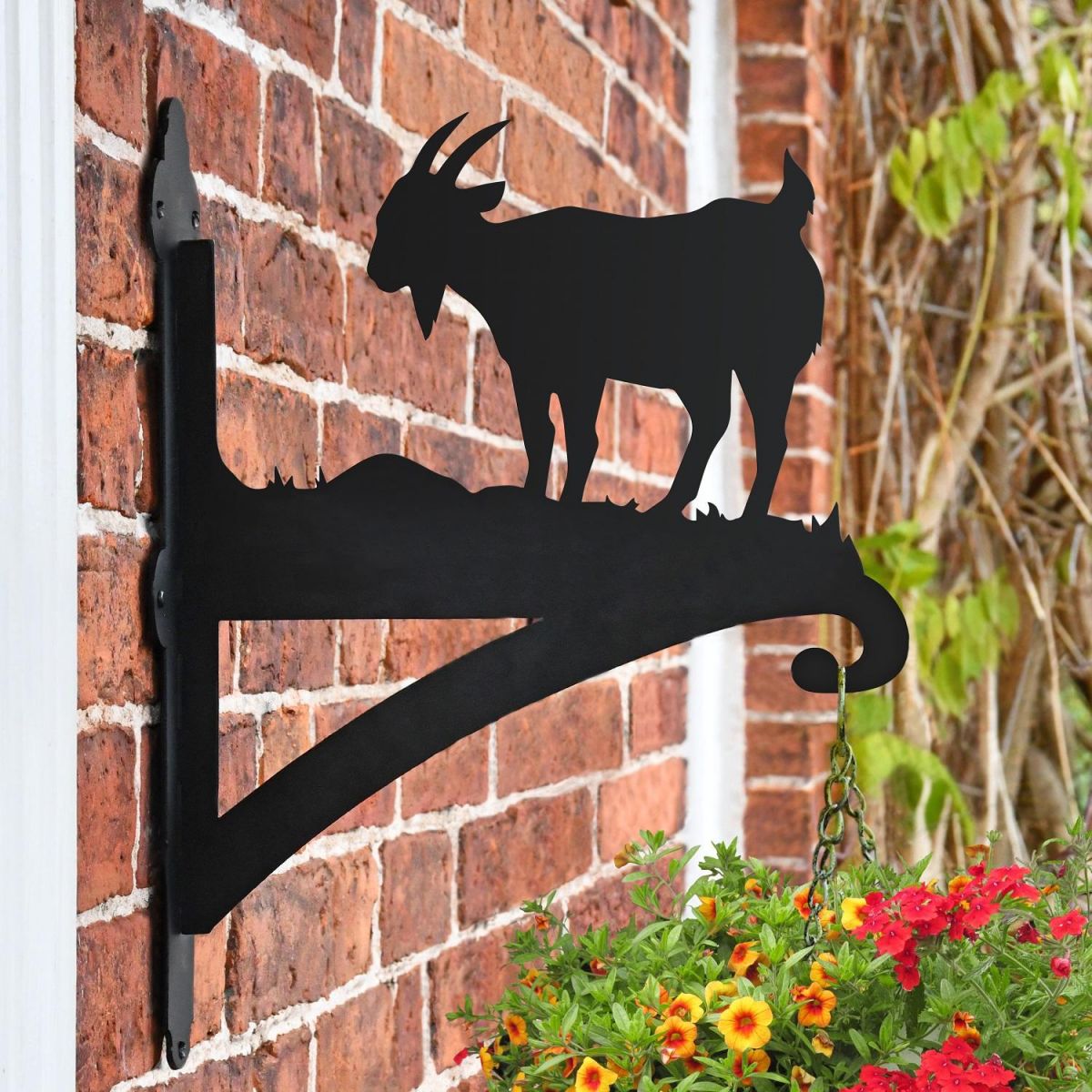 Mountain Goat Hanging Basket Bracket in Situ on a Brick Wall