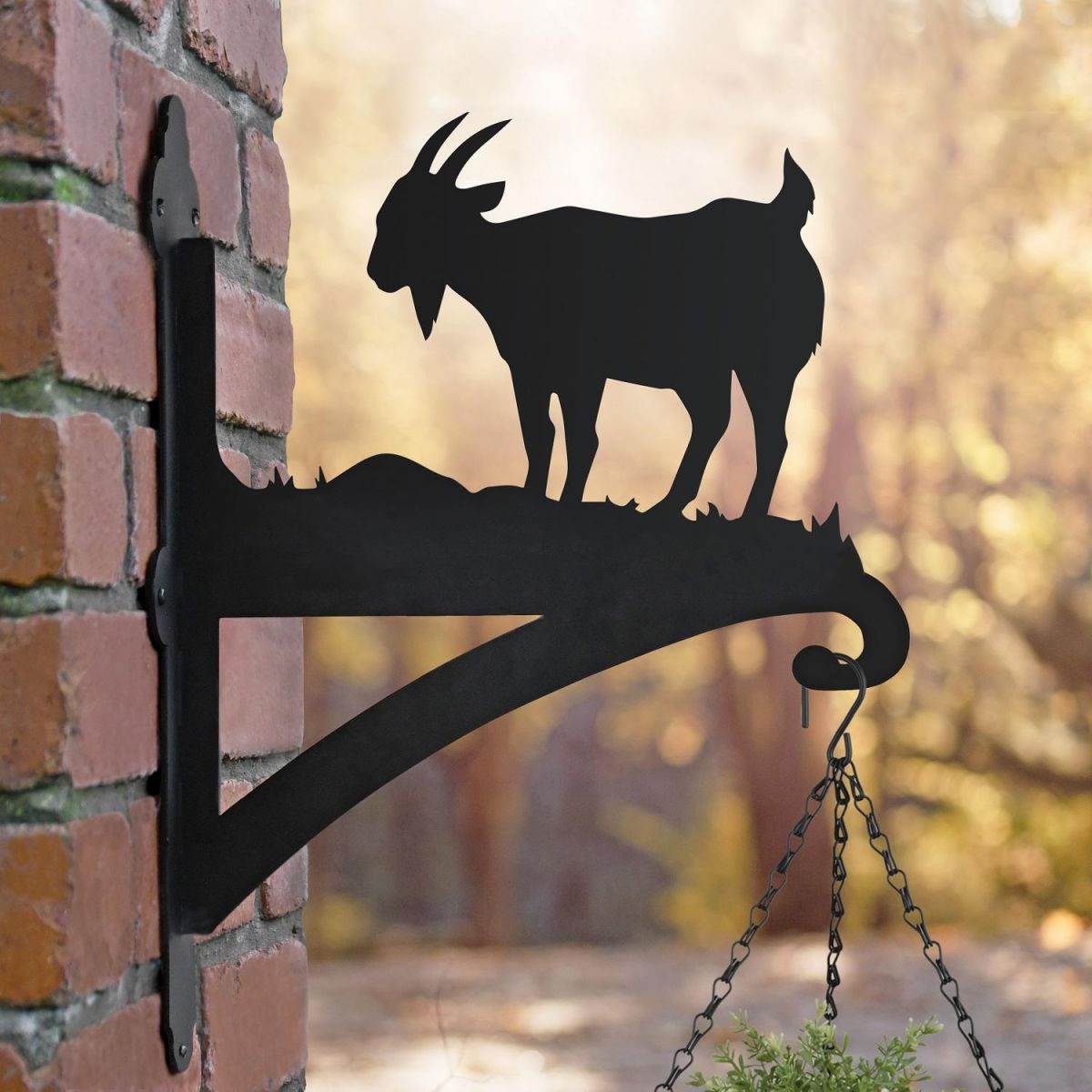 Mountain Goat Basket Bracket in Situ