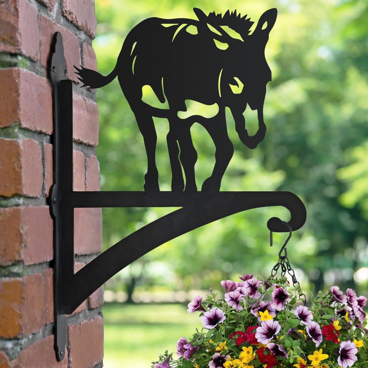 Donkey Hanging Basket Bracket in Garden Setting 