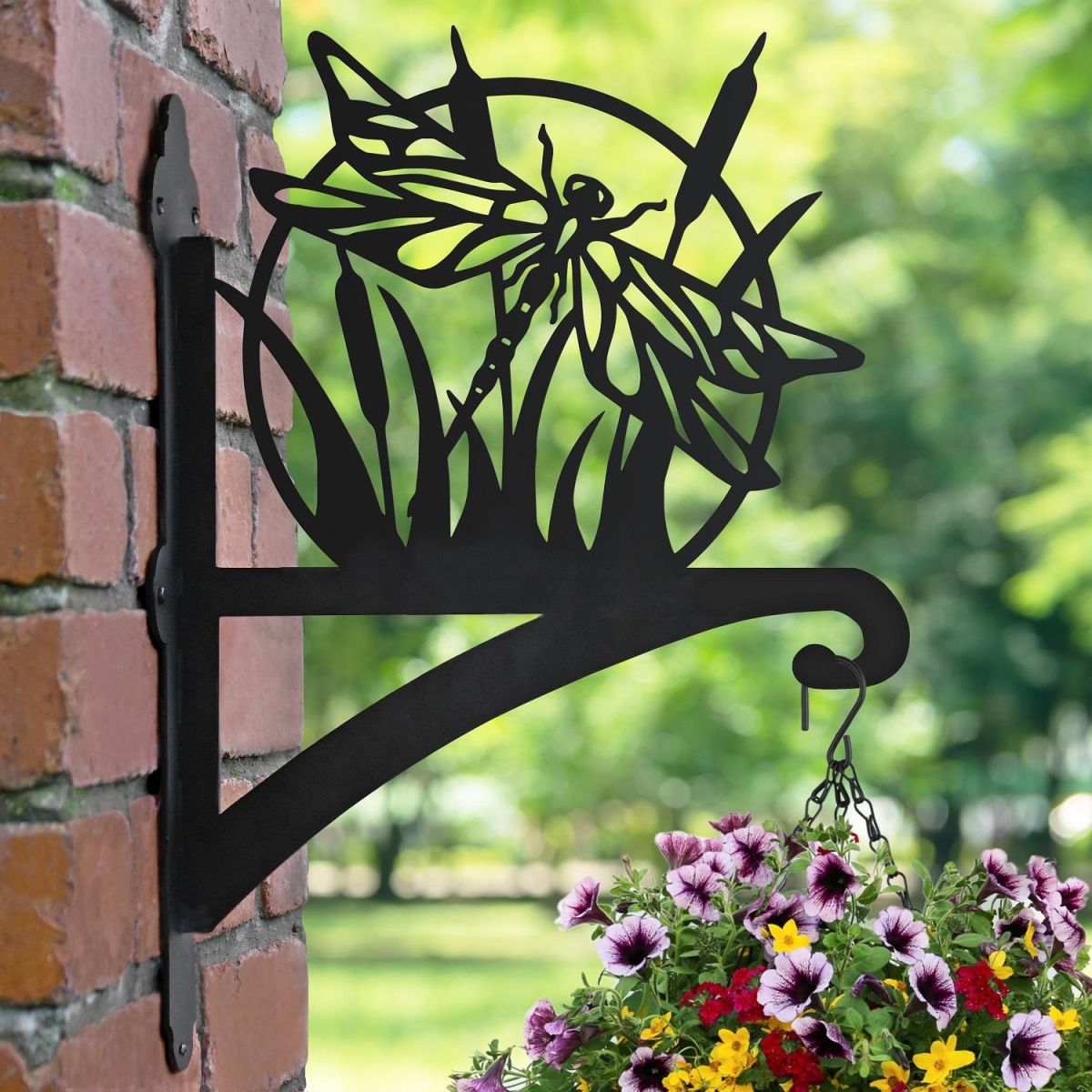 Dragonfly Hanging Basket Bracket in Garden