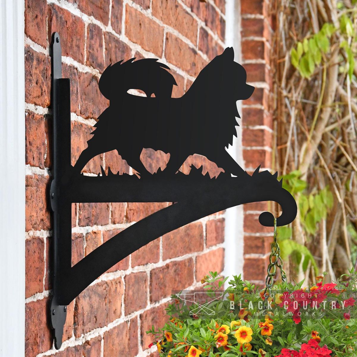 Chihuahua Hanging Basket Bracket in Situ on a Brick Wall