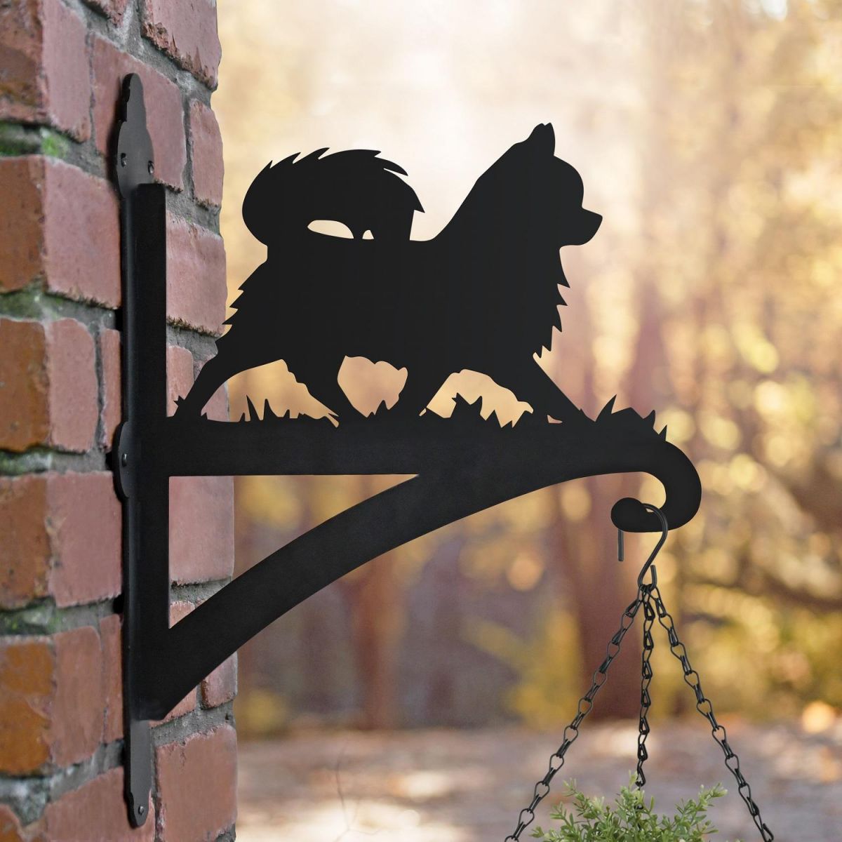 Chihuahua Hanging Basket Bracket in Situ on a Brick Wall