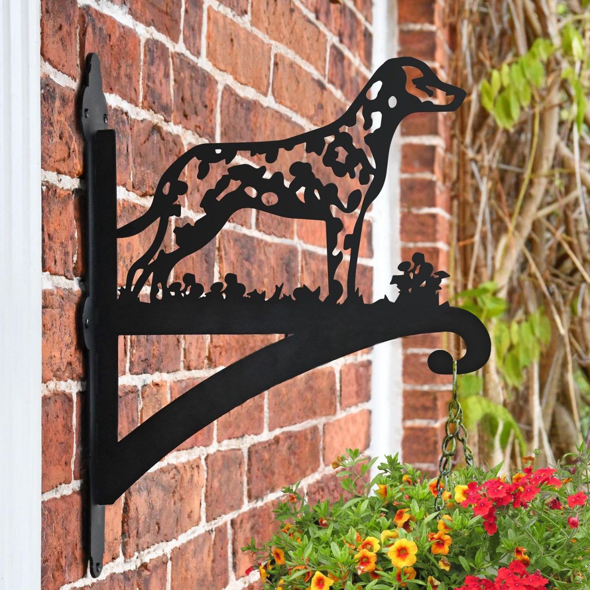 Dalmatian Dog Hanging Basket Bracket in Situ on a Brick Wall