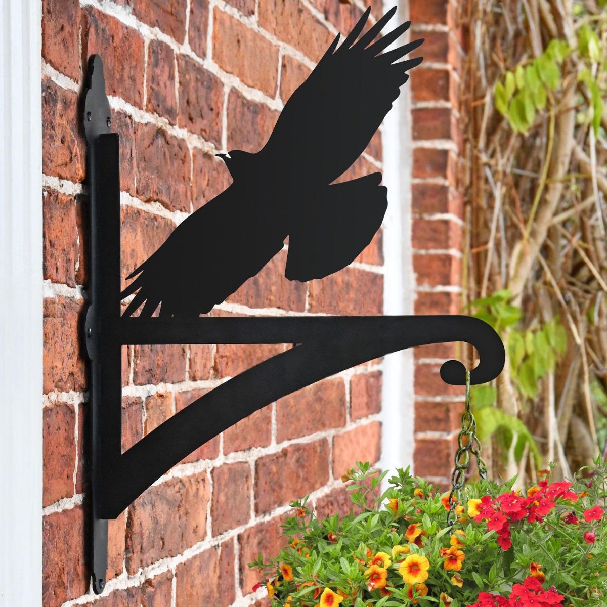 Cornish Chough Hanging Basket Bracket in Situ on a Brick Wall