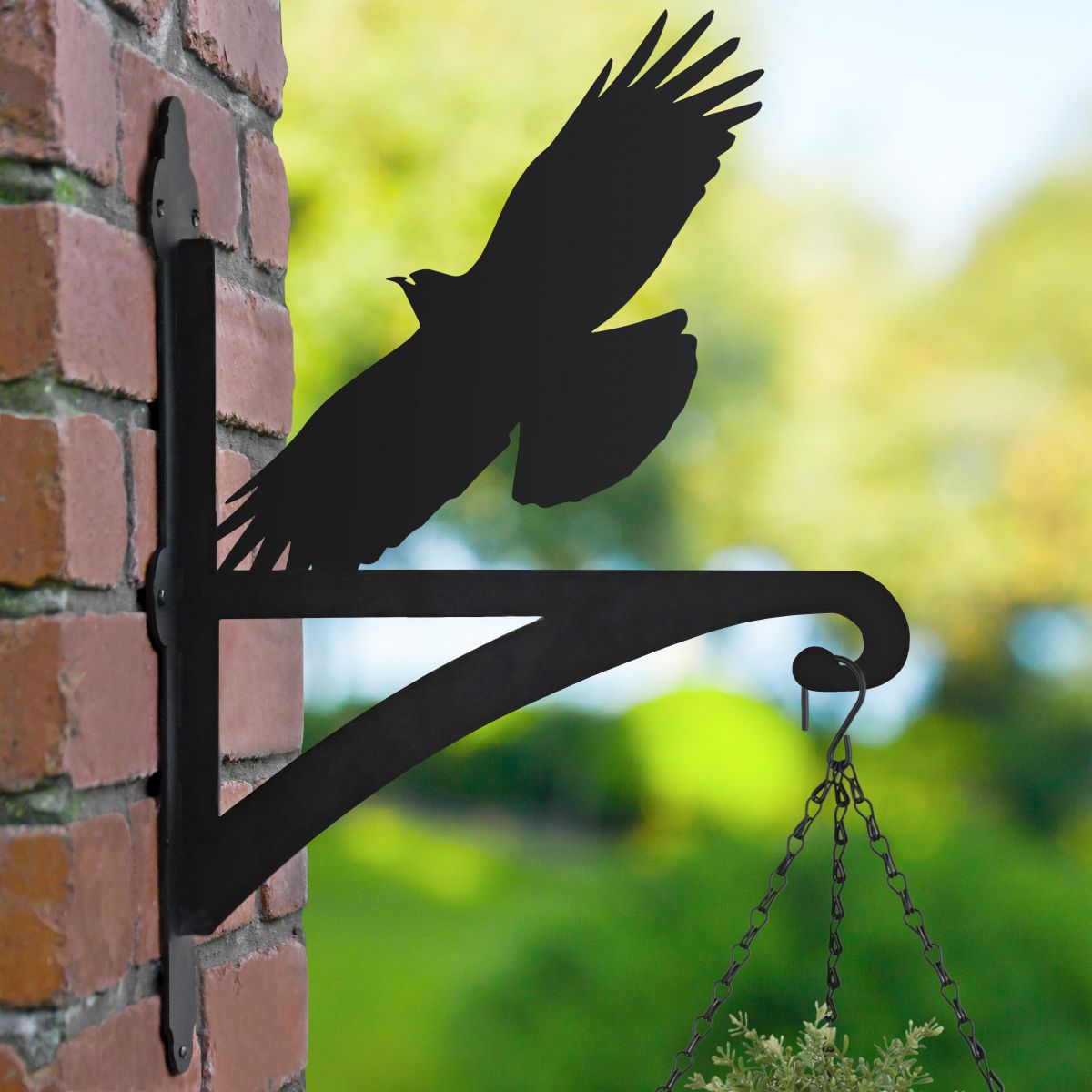 Cornish Chough Hanging Basket Bracket in Garden Setting 