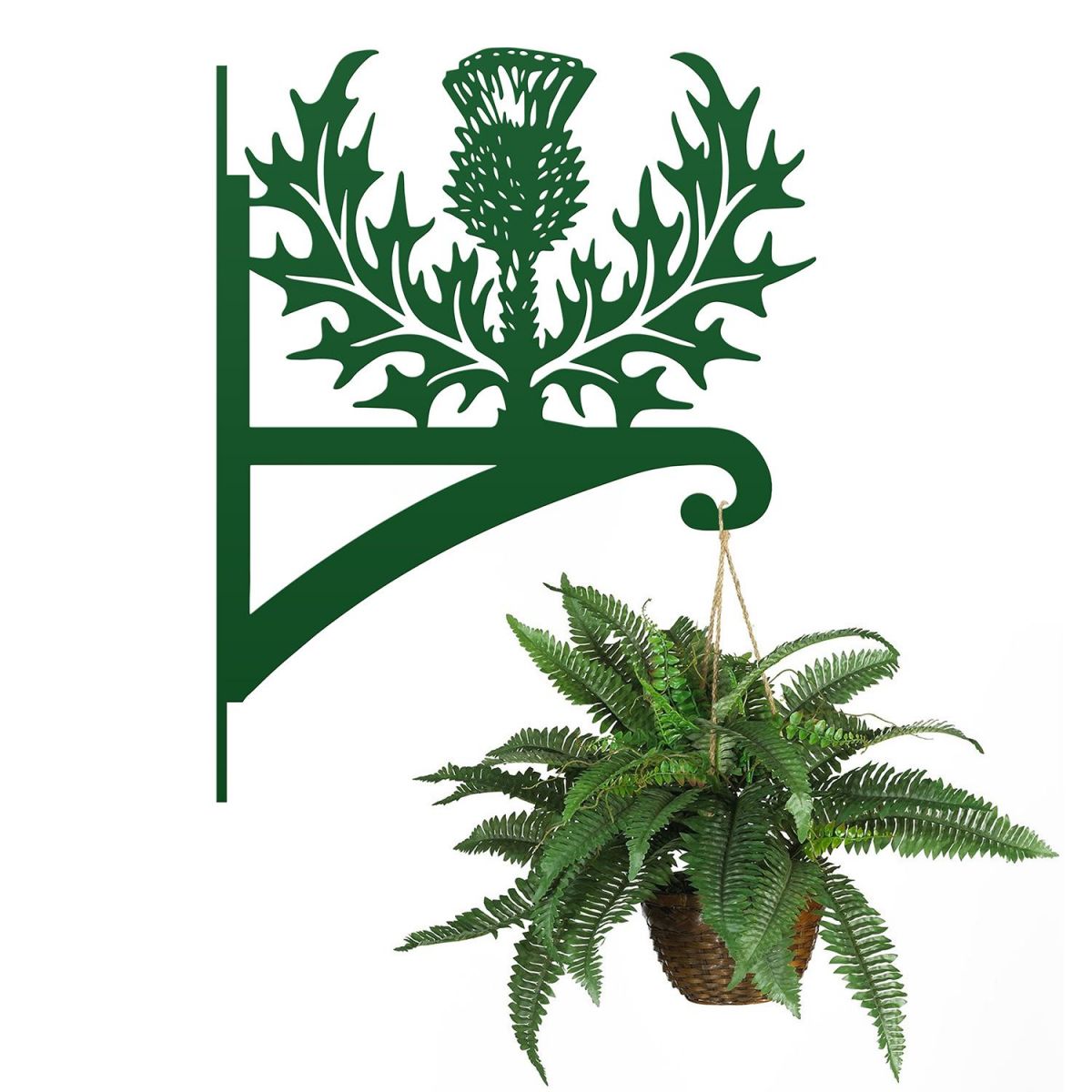 Thistle Hanging Basket Bracket Holding a Plant Basket