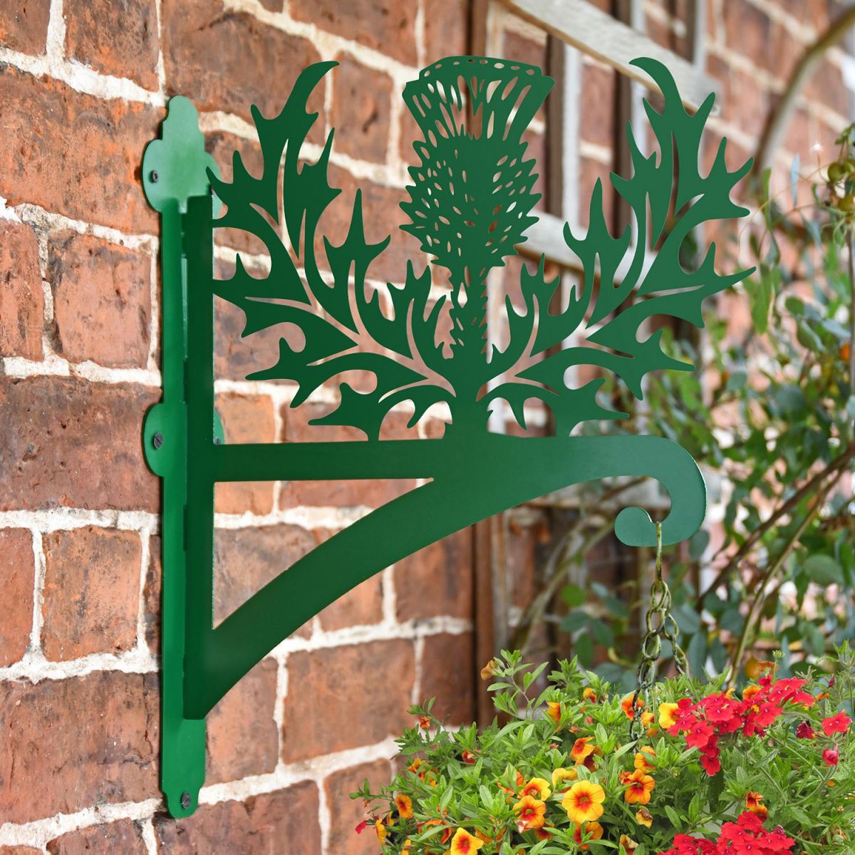Thistle Hanging Basket Bracket in Situ on a Brick Wall
