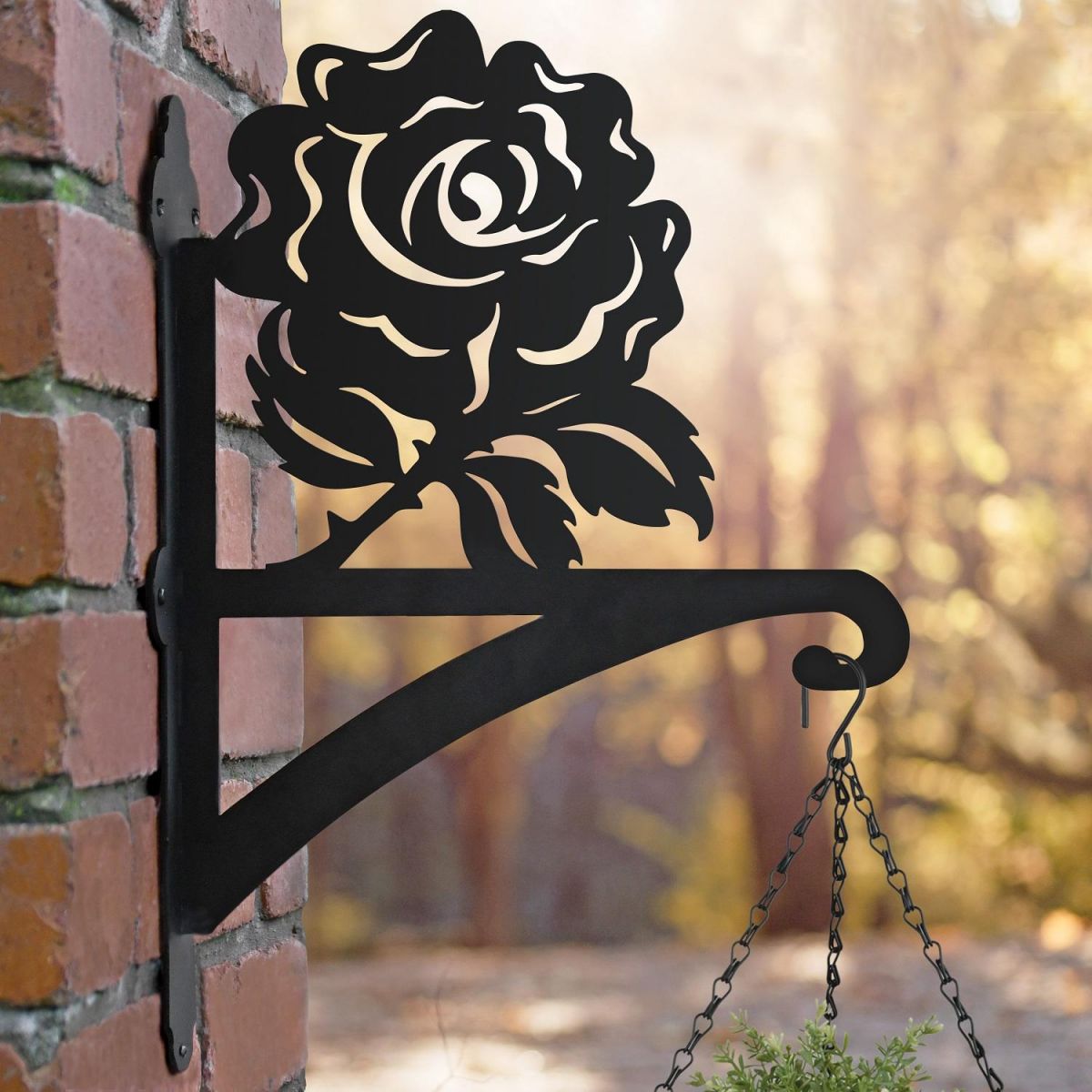 English Rose Hanging Basket Bracket in Situ 