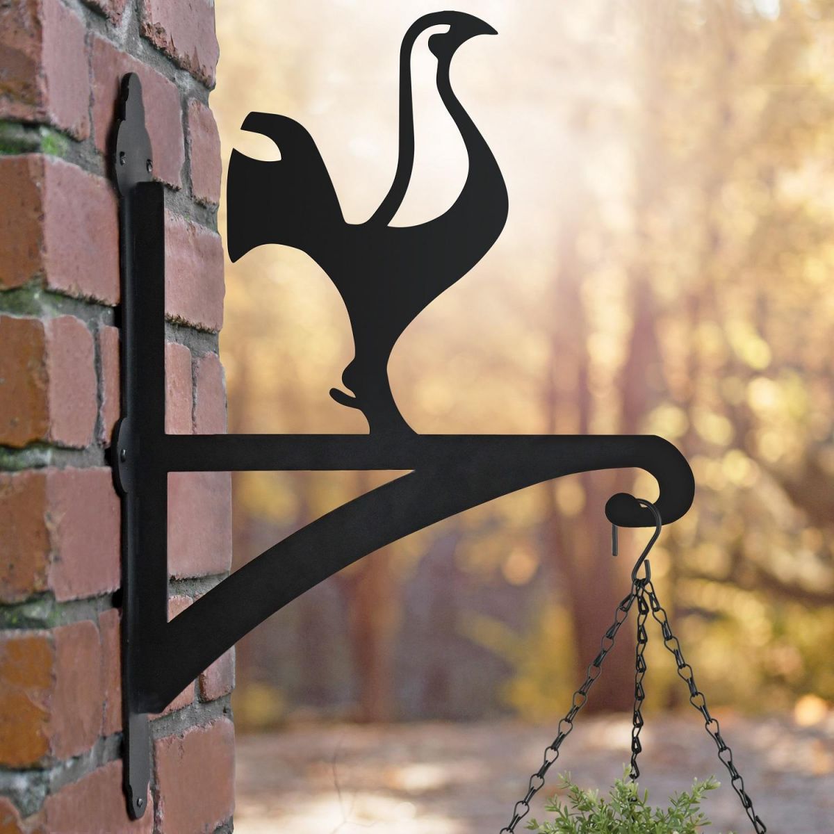 Contemporary Cockerel Hanging Basket Bracket 