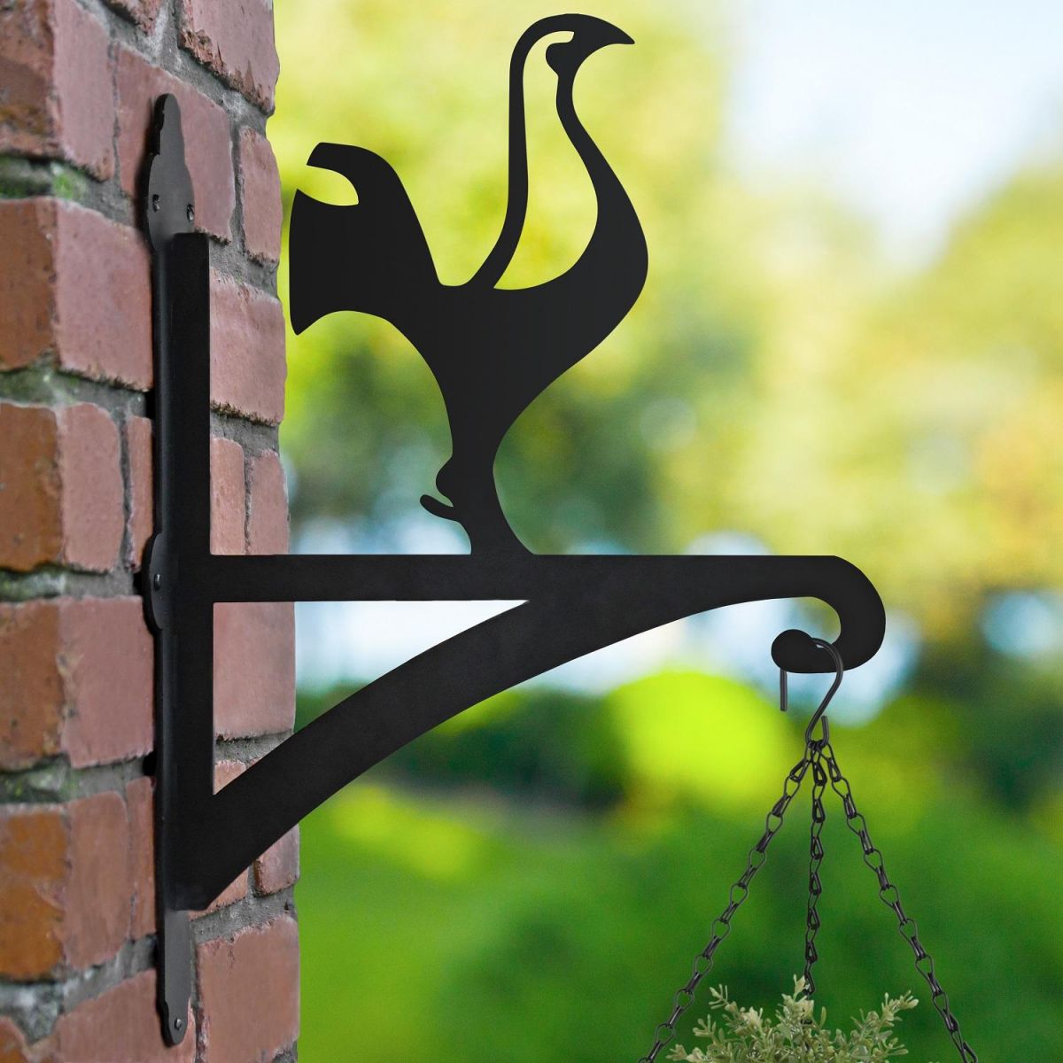 Contemporary Cockerel Hanging Basket Bracket in the Garden