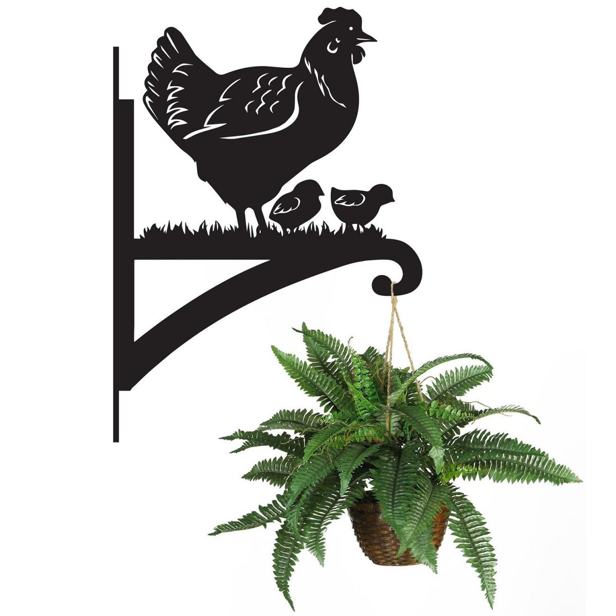 Hen & Chicks Hanging Basket Bracket Holding a Plant