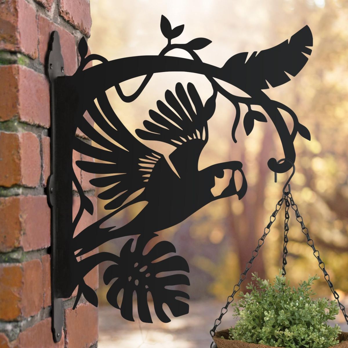 Macaw Hanging Basket Bracket at Sunset