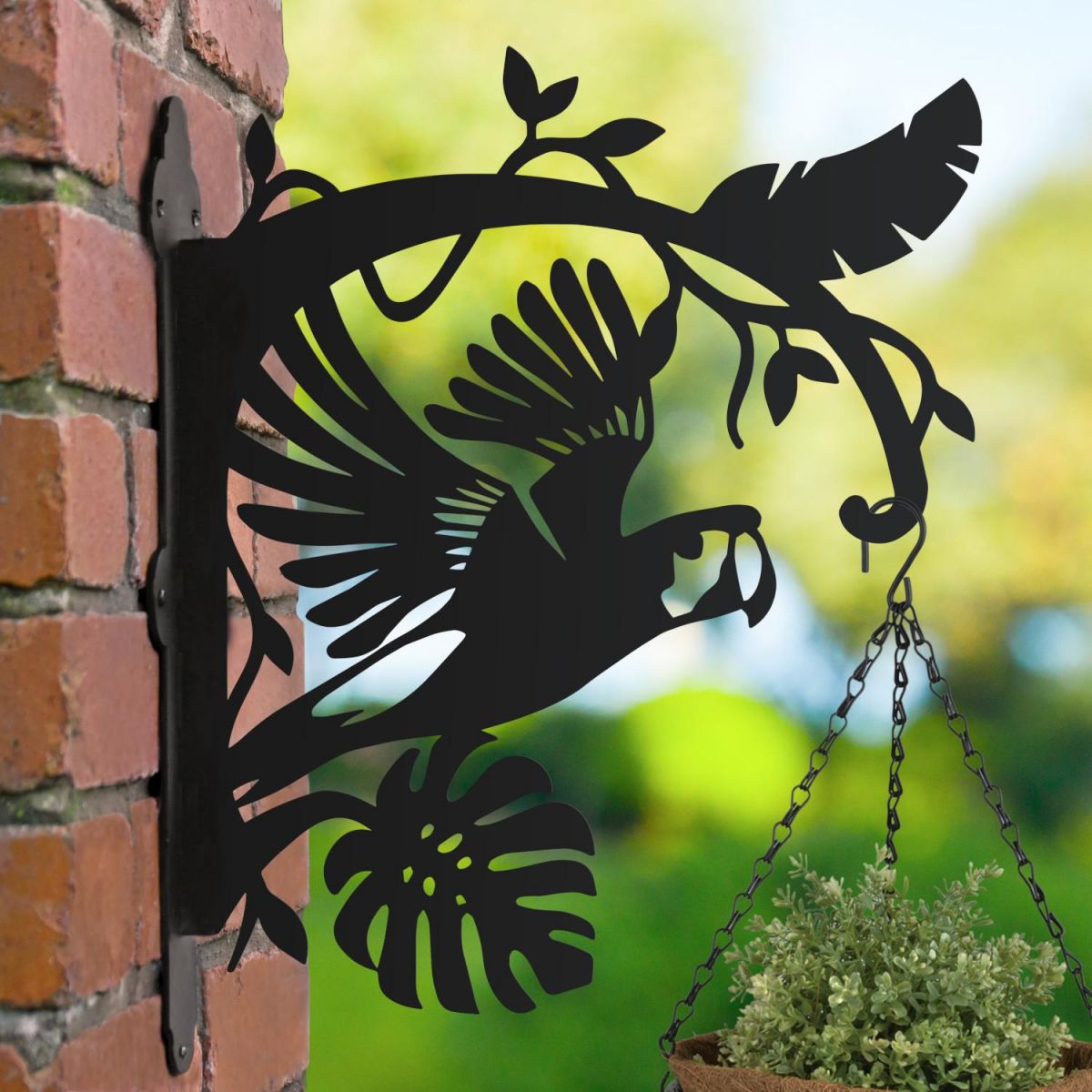 Macaw Hanging Basket Bracket 