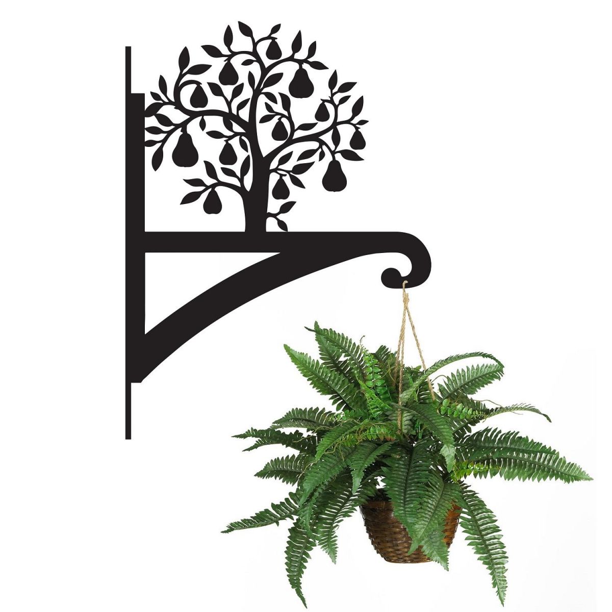 Pear Tree Hanging Basket Bracket Holding a Plant
