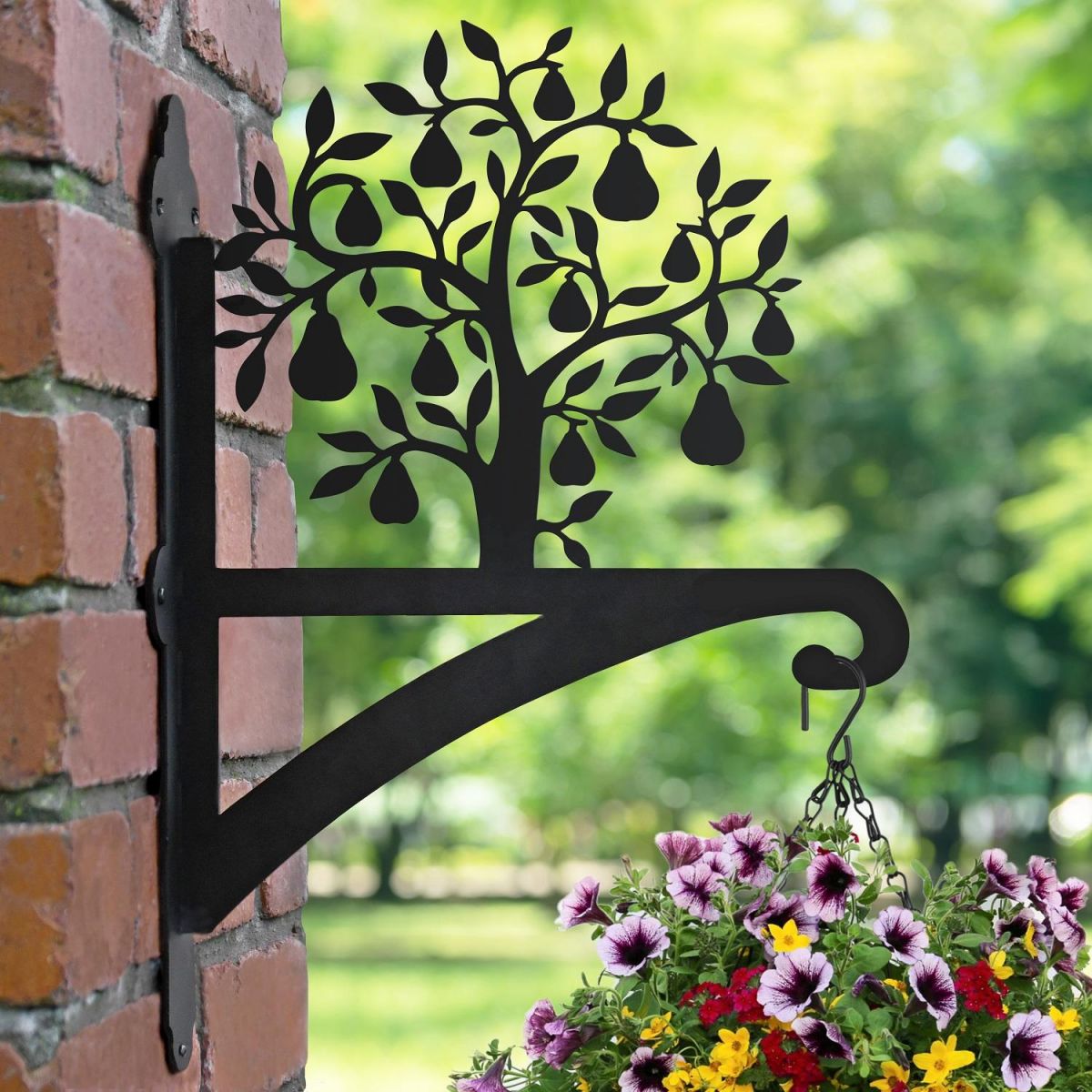 Pear Tree Hanging Basket Bracket in Garden