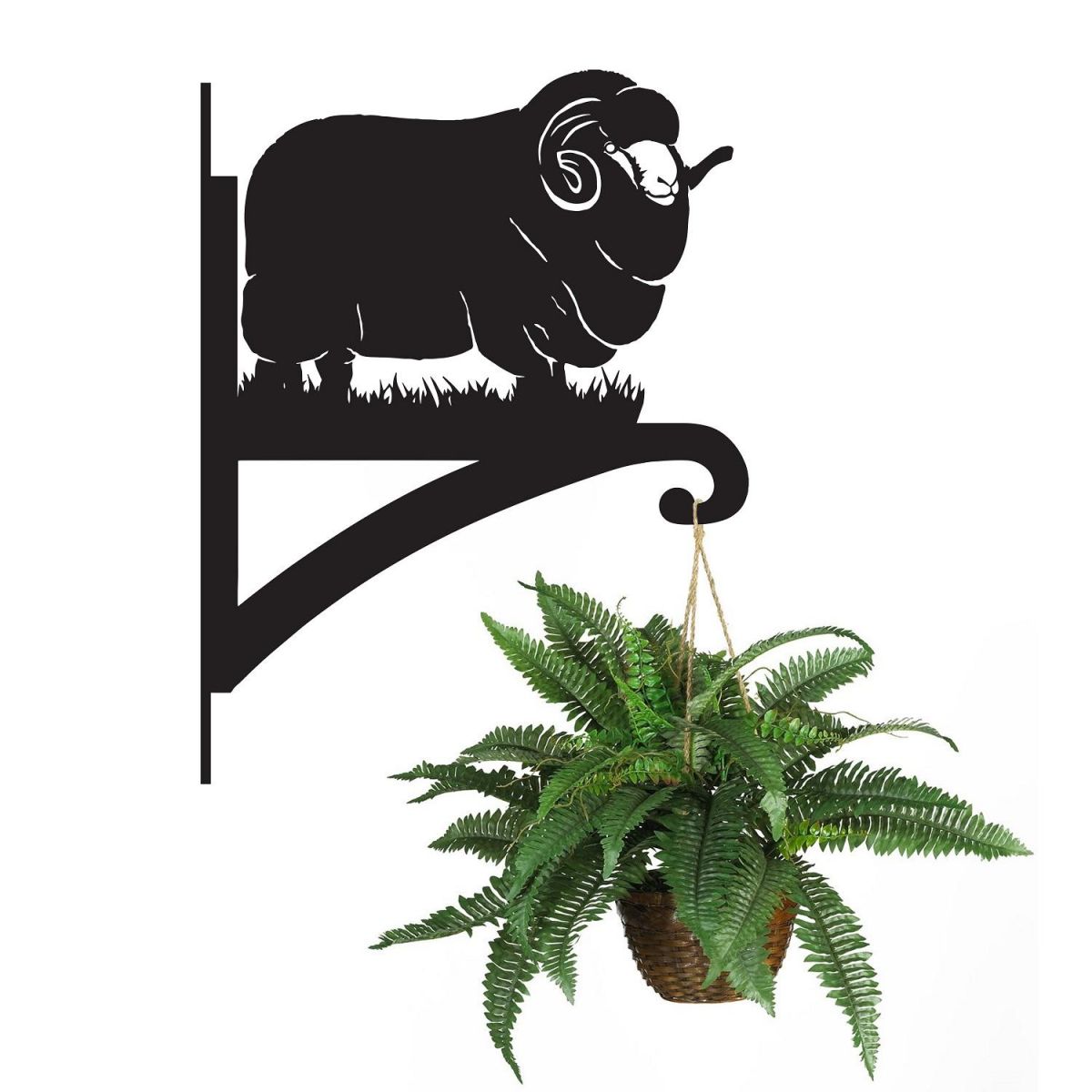 Merino Sheep Hanging Basket Bracket Holding a Plant