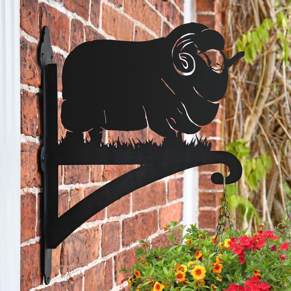 Merino Sheep Hanging Basket Bracket in Situ on a Brick Wall