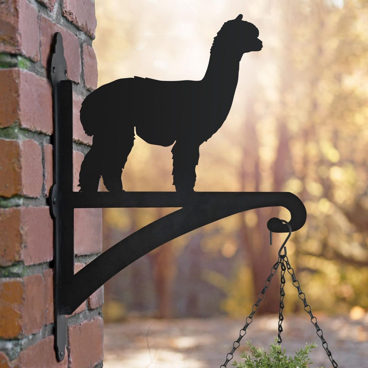 Alpaca Hanging Basket Bracket in Situ on a Brick Wall Alpaca Hanging Basket Bracket in Situ on a Brick Wall