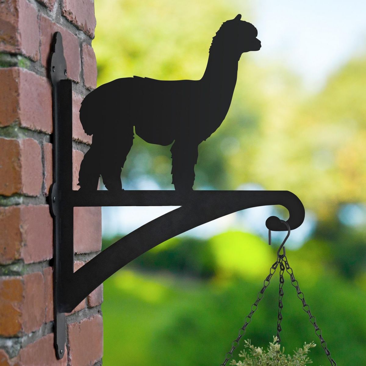 Alpaca Hanging Basket Bracket in Garden Setting  Alpaca Hanging Basket Bracket in Garden Setting