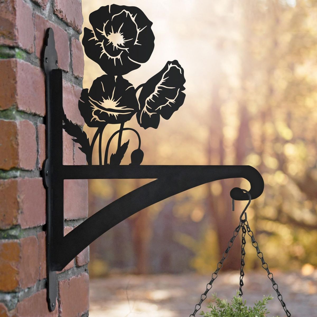 Cluster of Poppies Bracket in Situ 